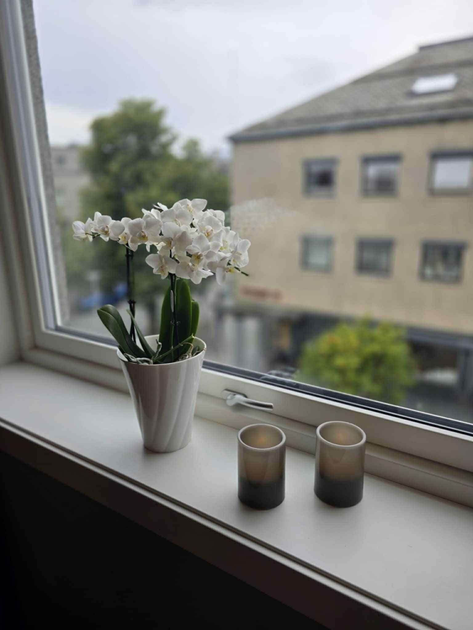 Bilde fra vindu mot byen. Galleribilde