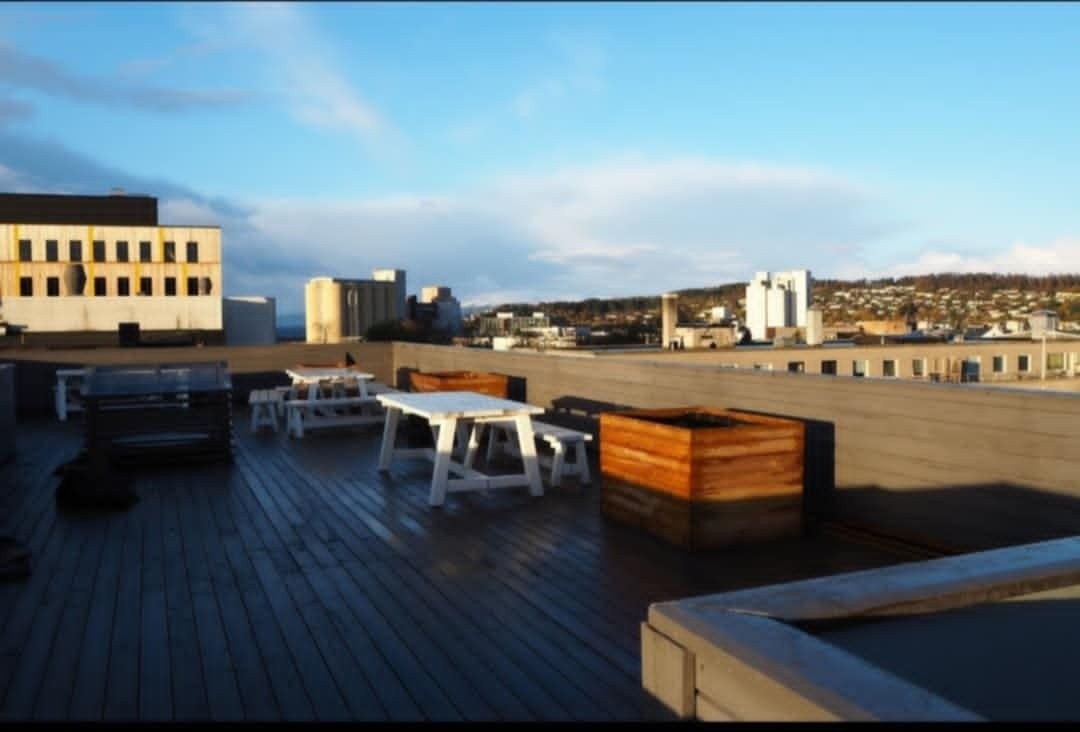 Felles uteplass på tak. Fin oversikt over byen og med sol hele dagen. Galleribilde