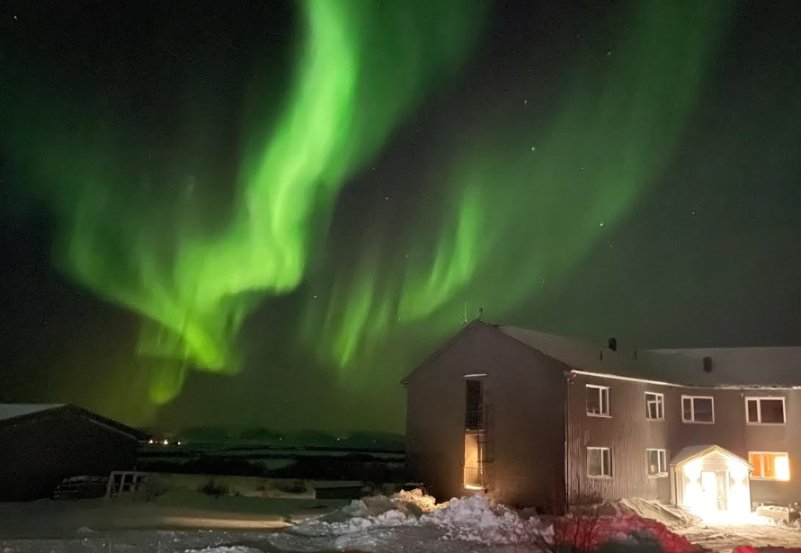 Nordlys over Stjernen Galleribilde