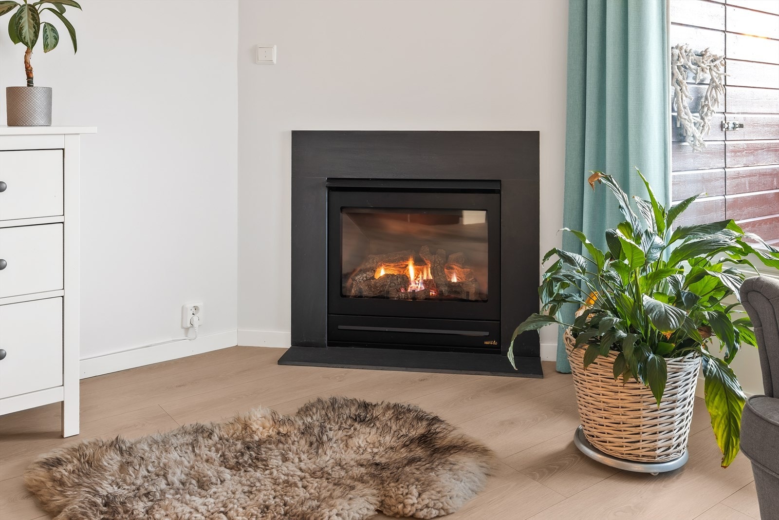 Gasspeis for kalde dager og for kveldskos. Galleribilde