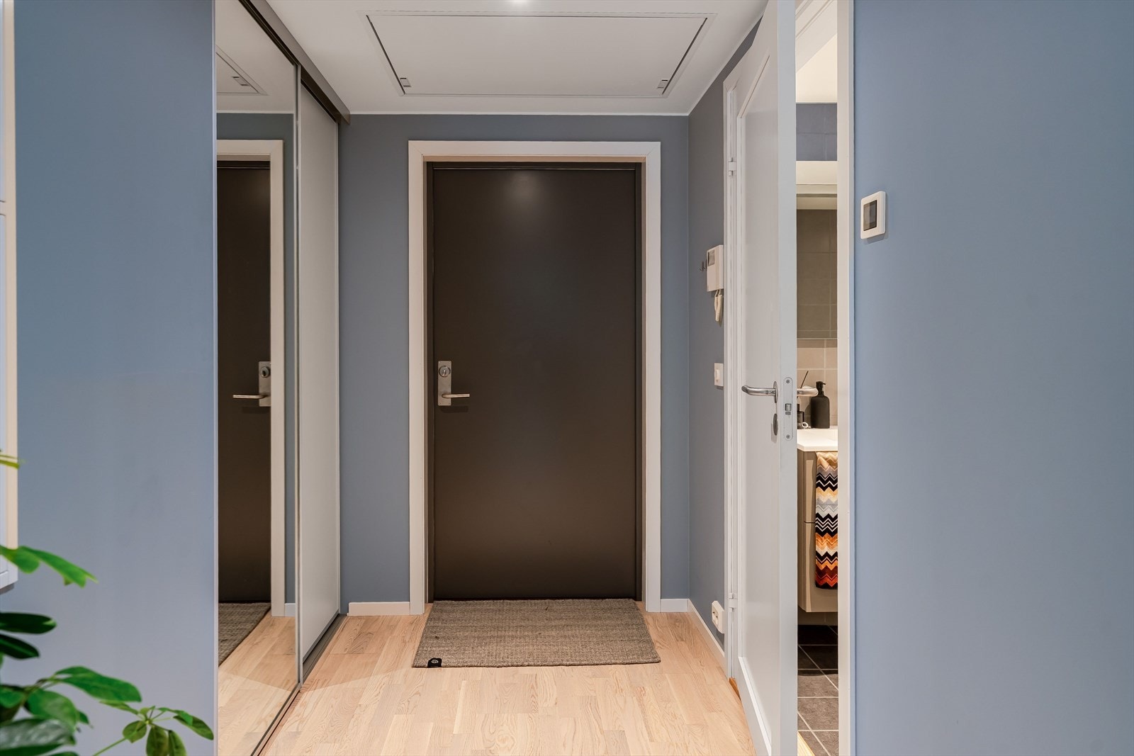 Entré. Galleribilde