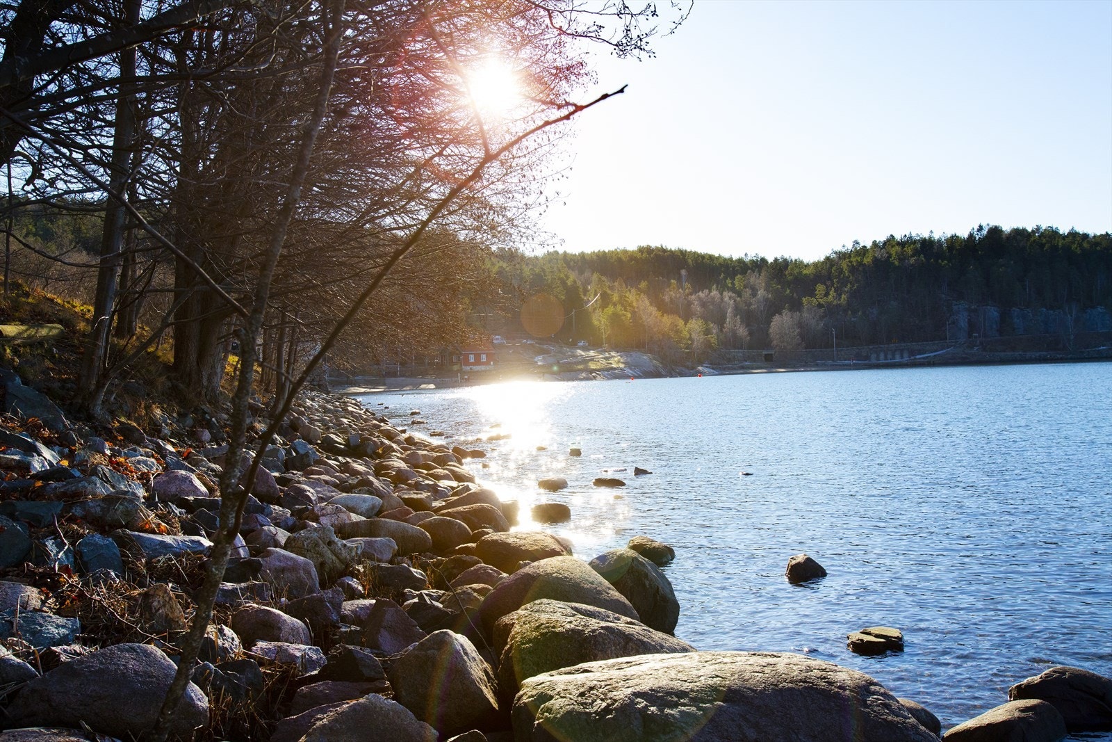 Kort vei til flotte turområder og badeplasser langs fjorden. Galleribilde