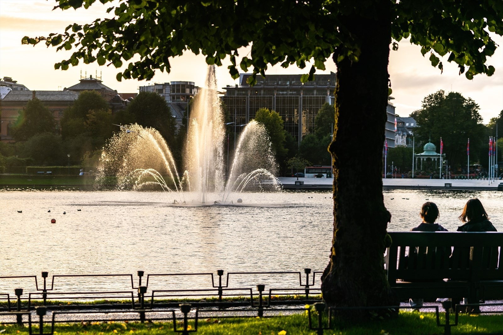 Lille Lungegårdsvannet Galleribilde