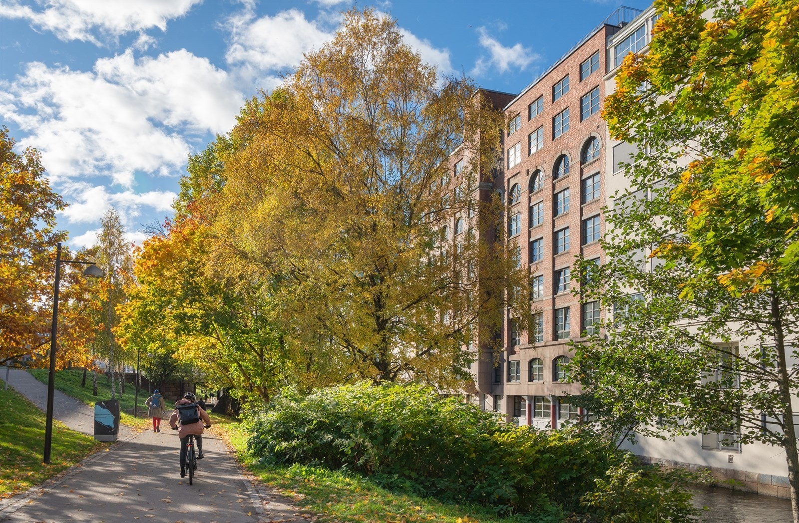 Nærområde. Galleribilde