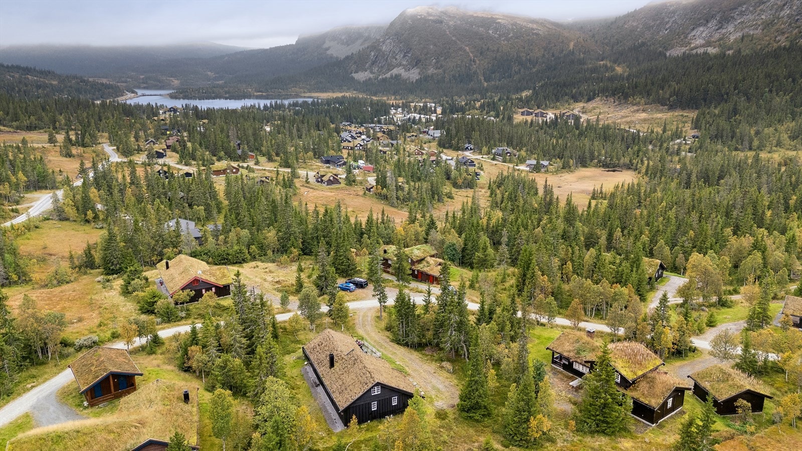 Sigdal kommune har gode forhold for både jakt og fiske. Det er hovedsakelig jakt på elg, hjort, villrein og rådyr.
Mange flotte fiskevann både nær vei og langt inne på skogen og i fjellet. Galleribilde