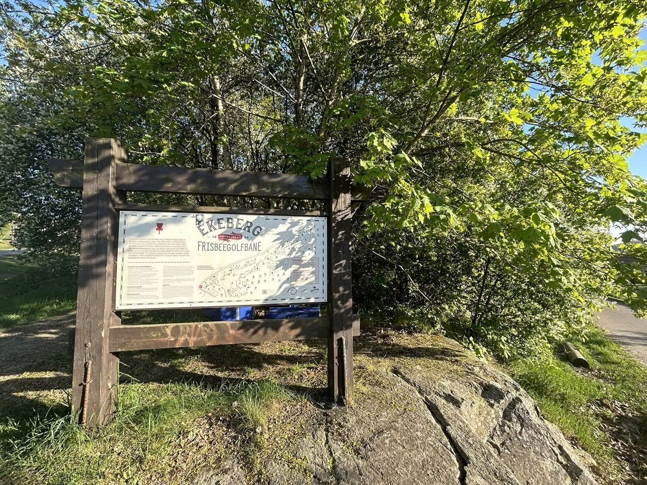 Nærområdet byr også på frisbeegolf. Galleribilde