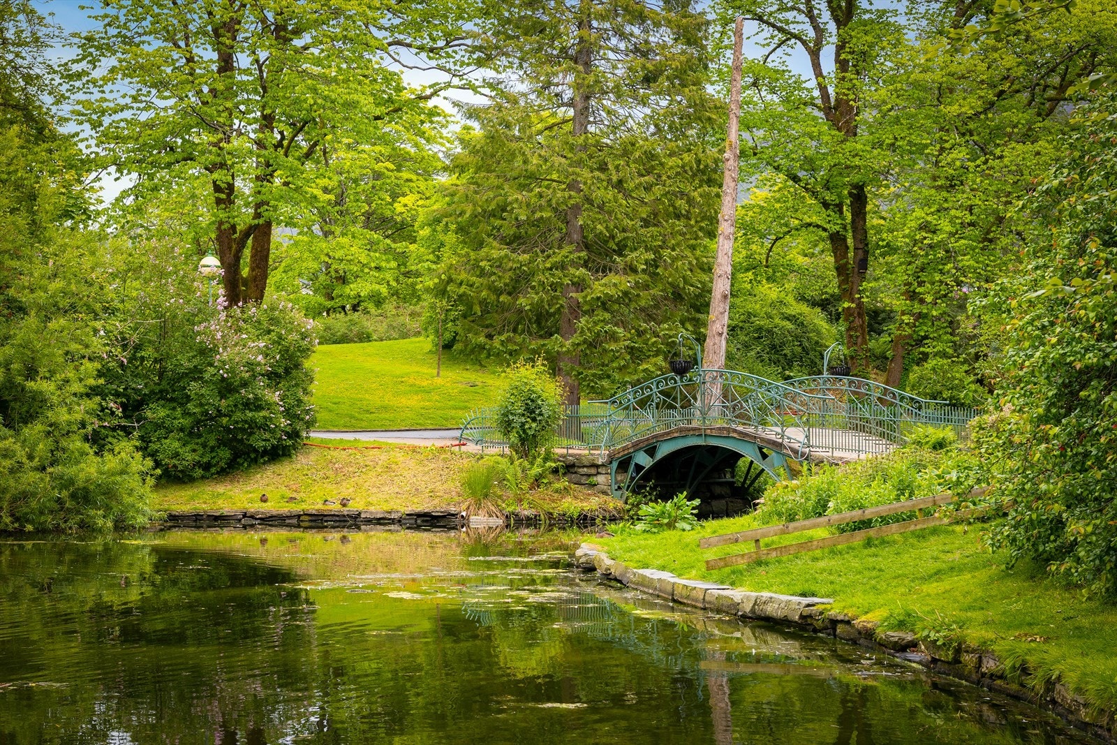 Vakre turstier og idylliske grøntområder gjør nærområdet perfekt for rekreasjon. Galleribilde