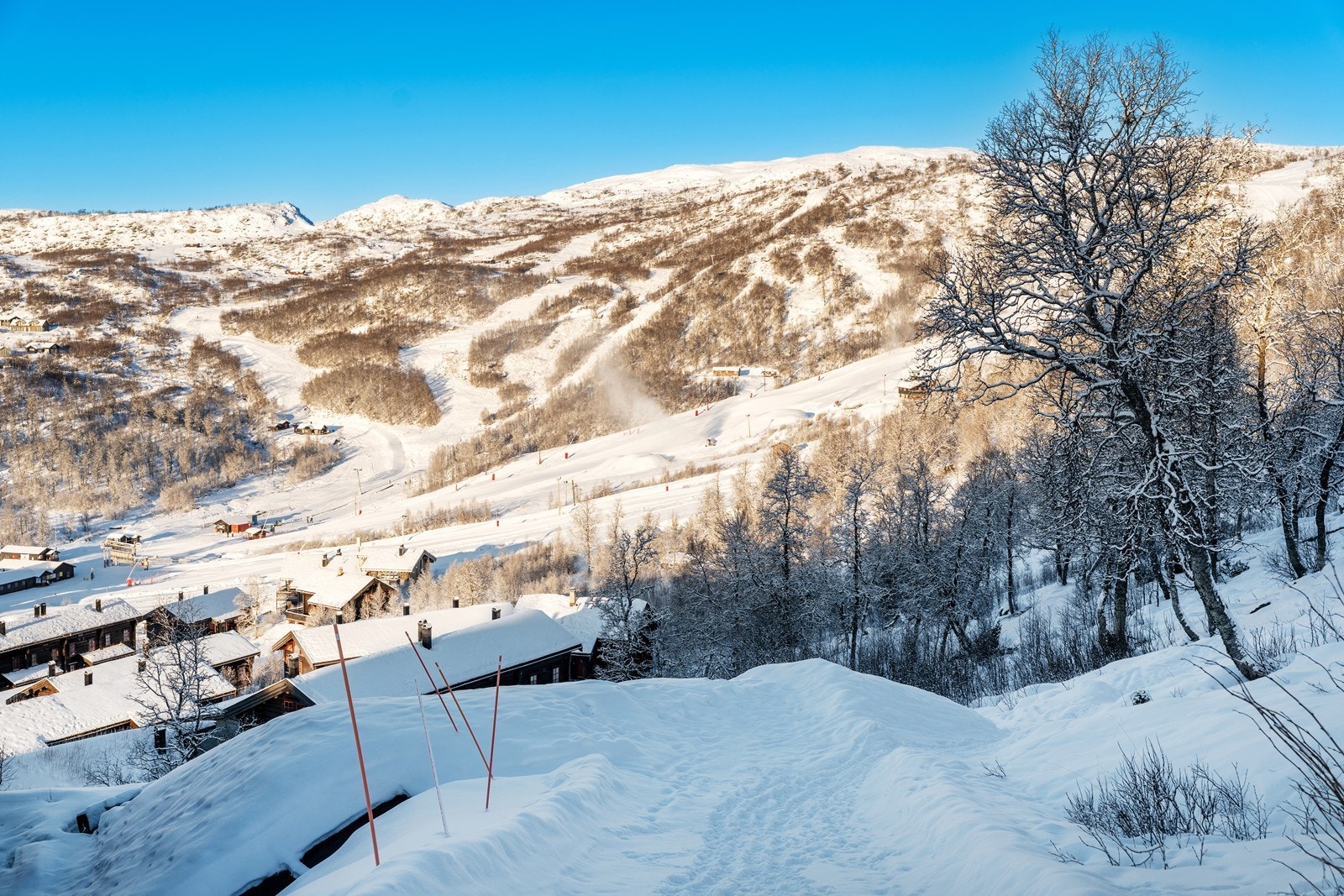 Gode ski-in/Ski-out muligheter til skitrekket. Galleribilde