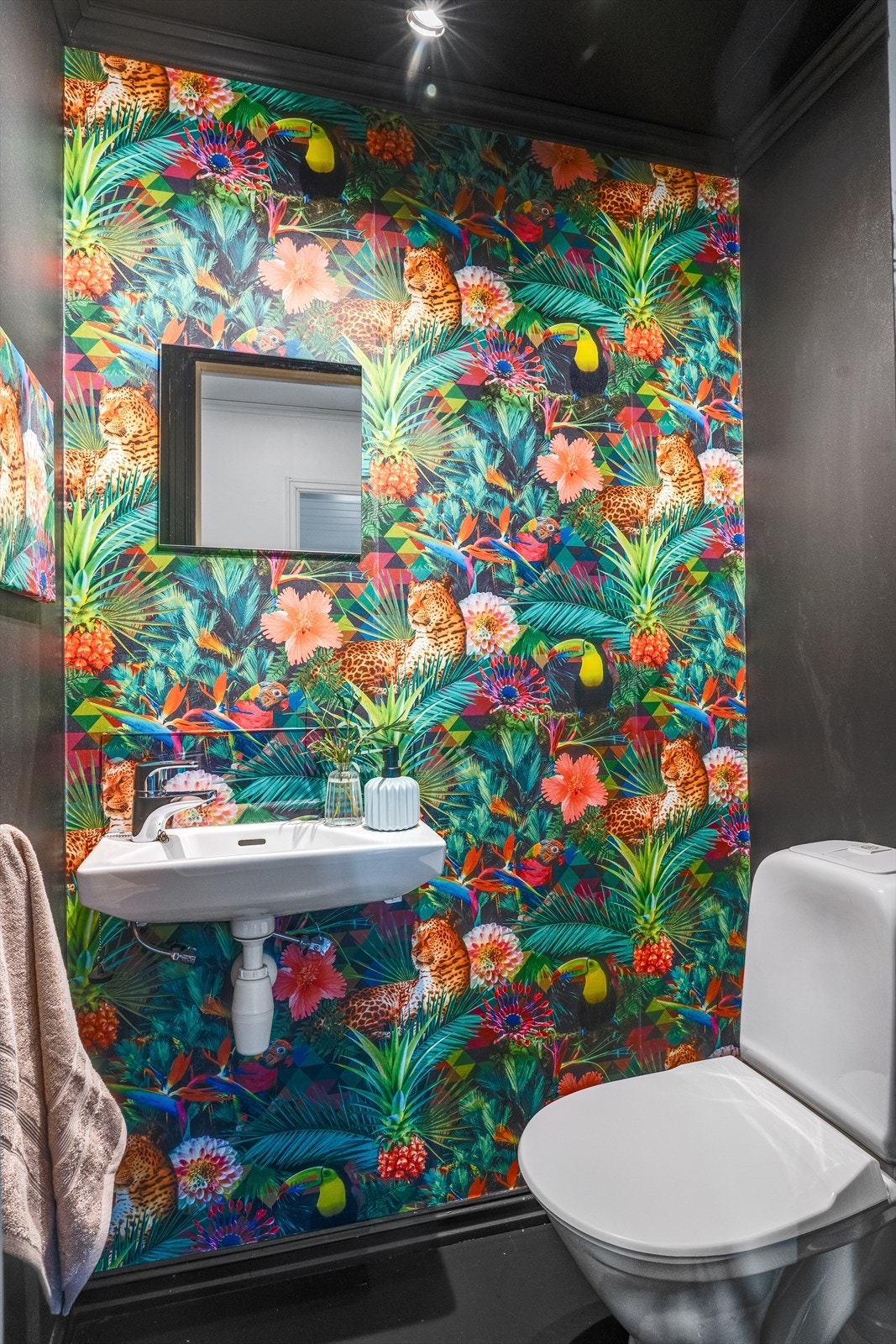 Spenstig gjestetoalett Galleribilde