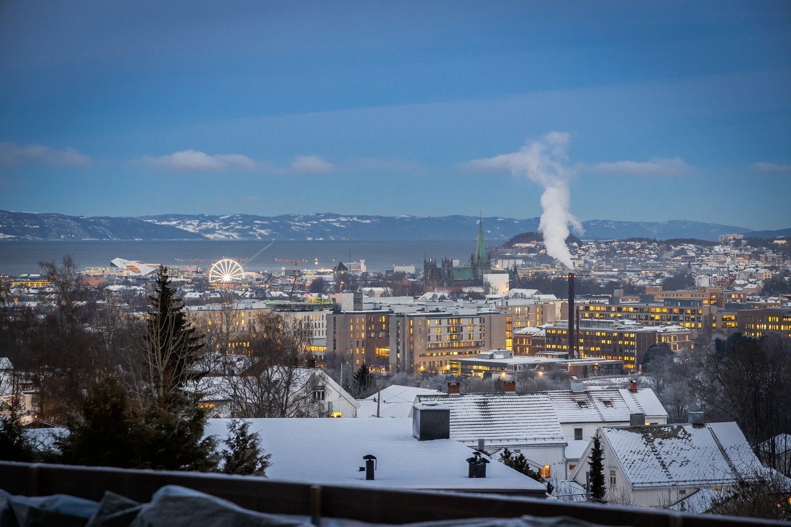 Utsikt. Galleribilde