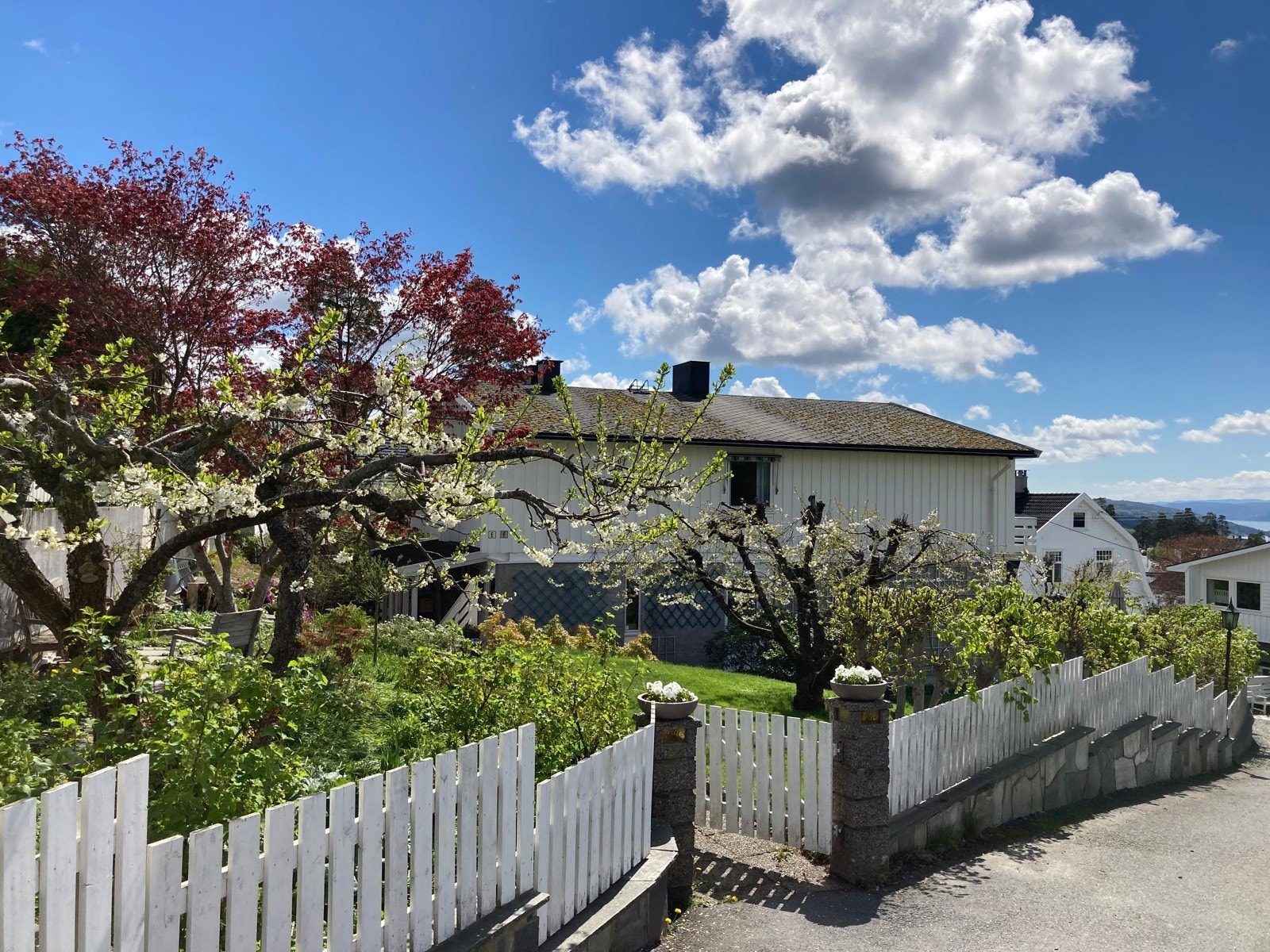 Selgers egne bilder Galleribilde