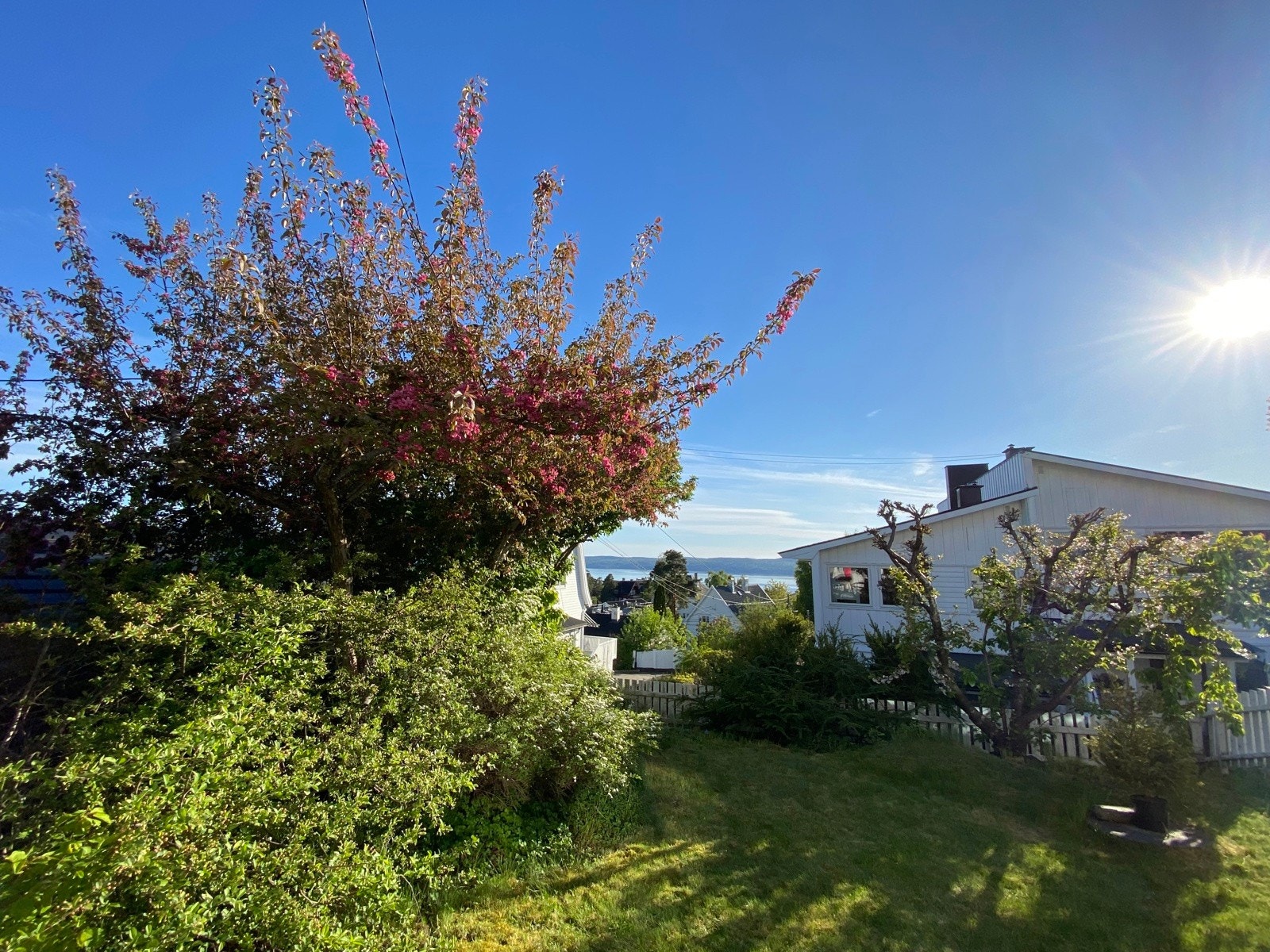 Selgers egne bilder Galleribilde