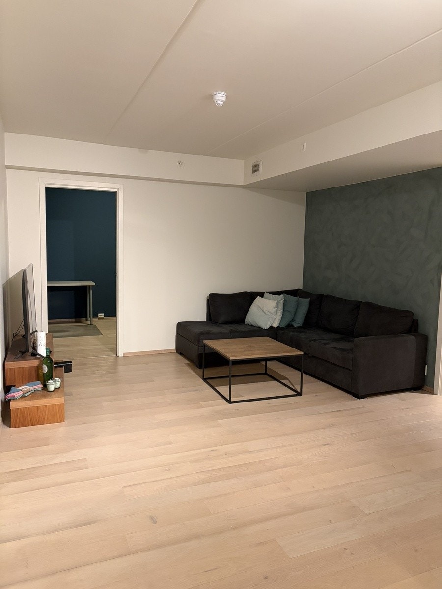 Stue vinkel 2 Galleribilde