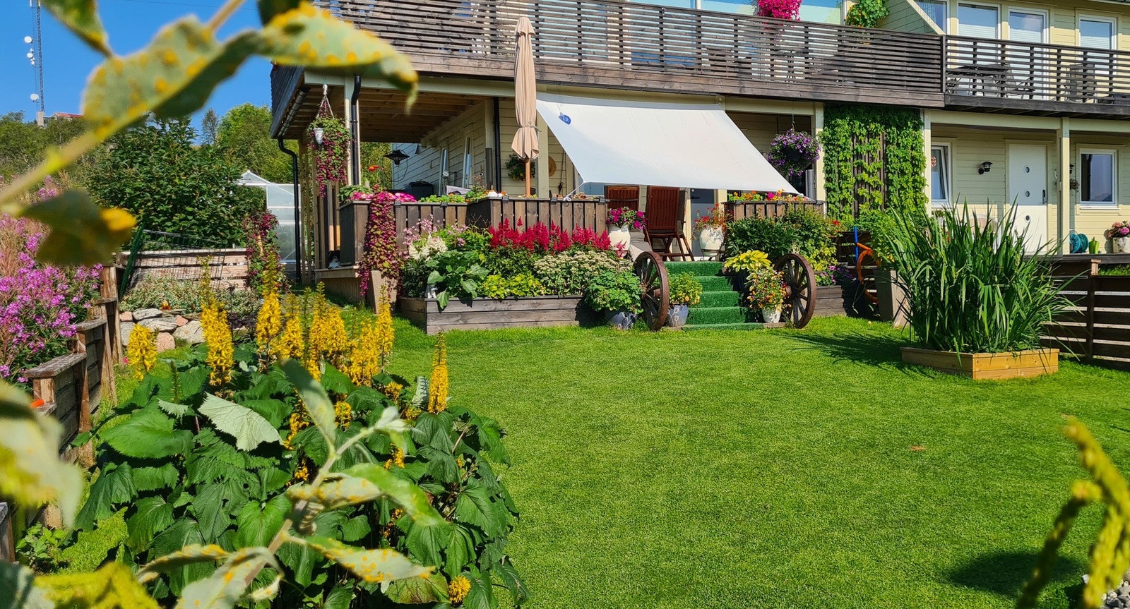 Selgers sommerbilde Galleribilde