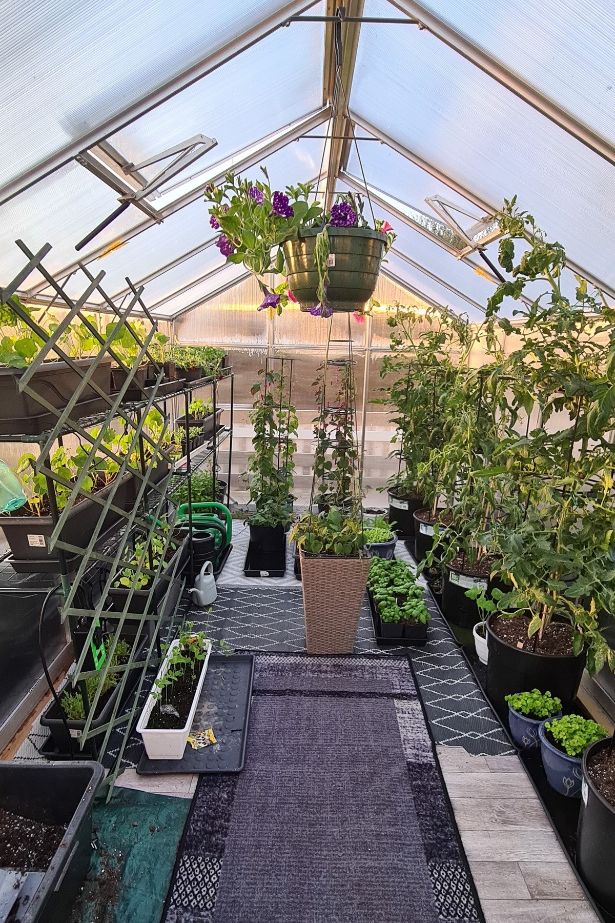 Selgers sommerbilde Galleribilde