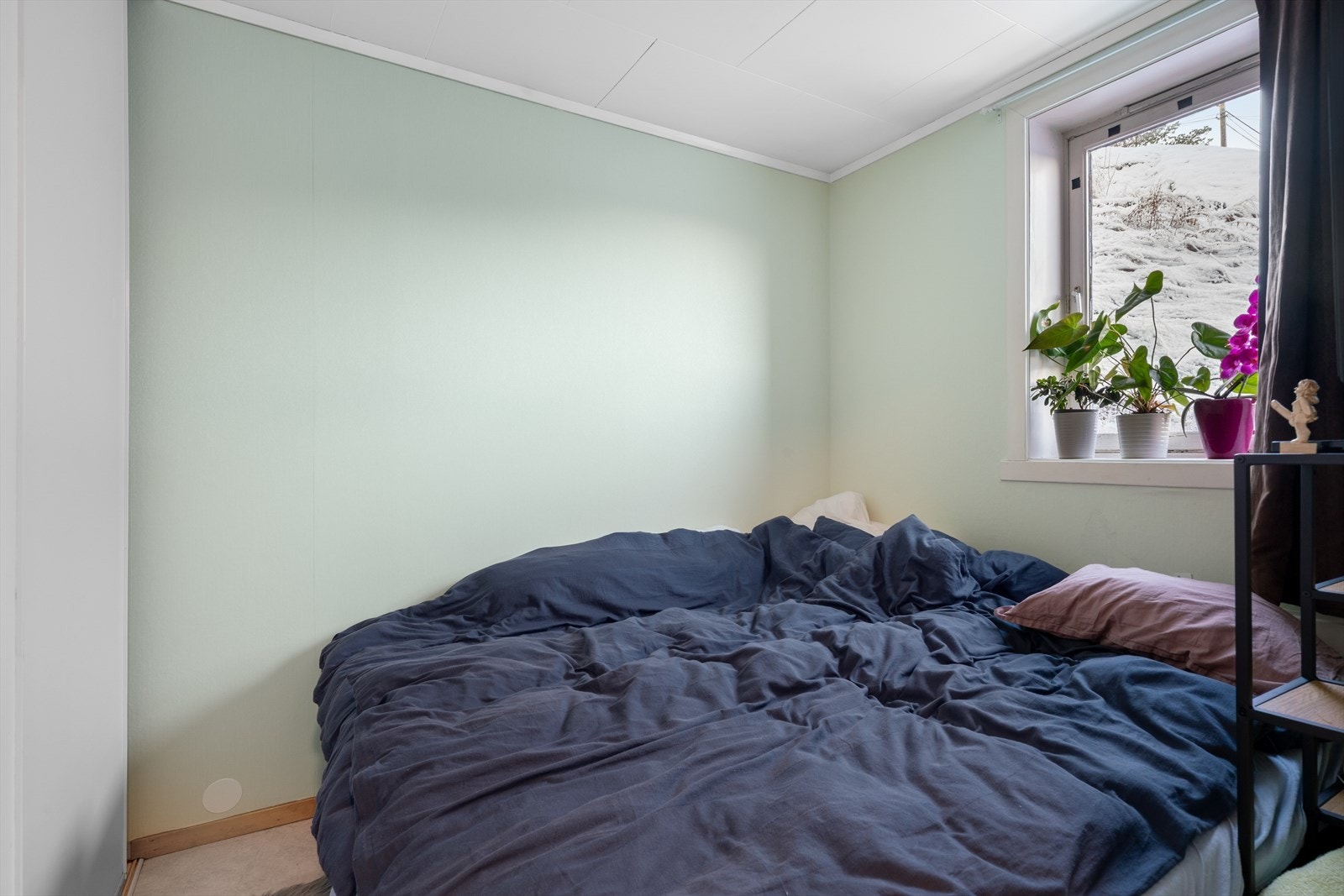 Utleiedel Galleribilde