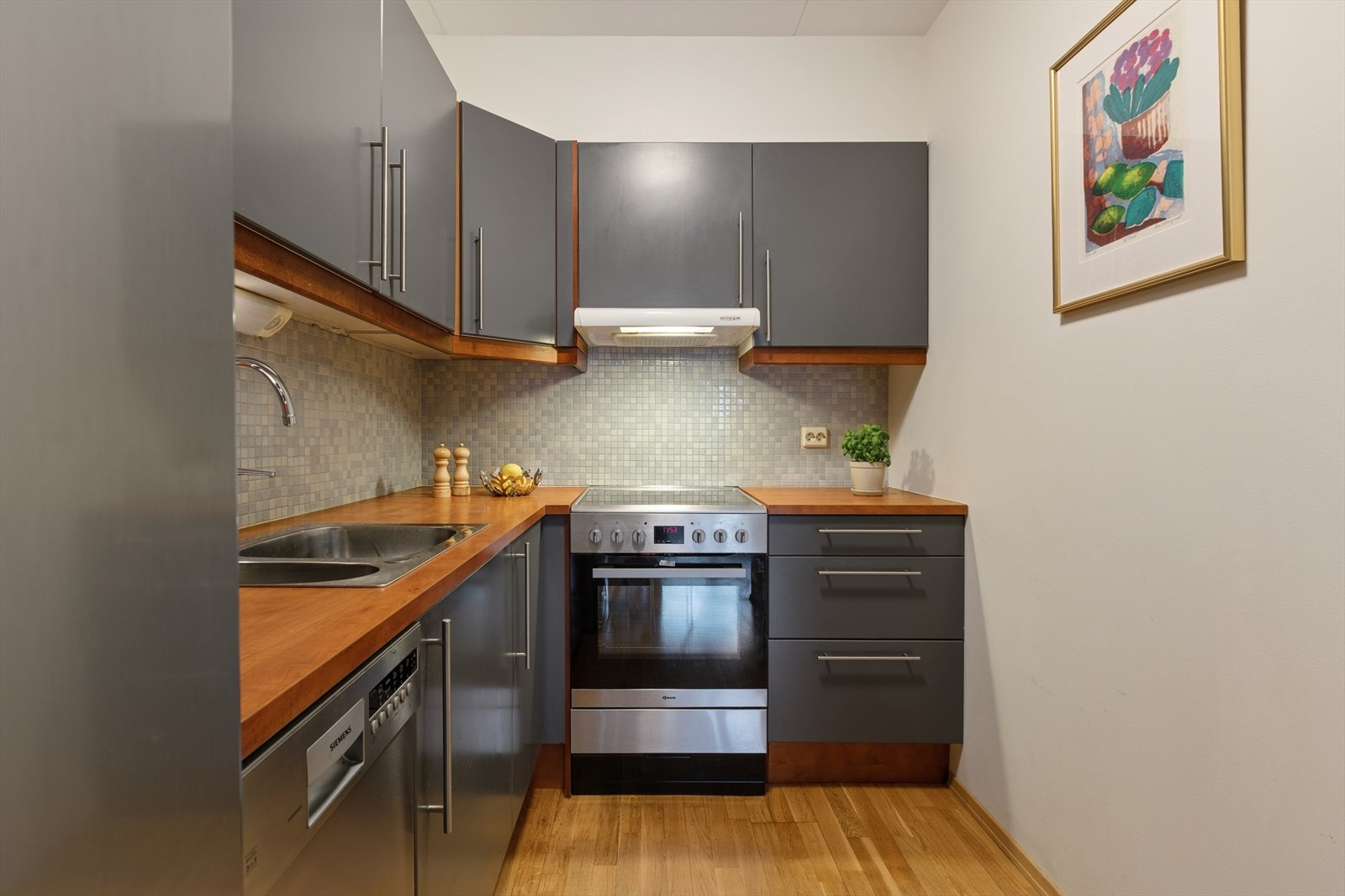 Kjøkkenet har slette fronter, oppvaskmaskin, komfyr og kjøleskap følger handel Galleribilde