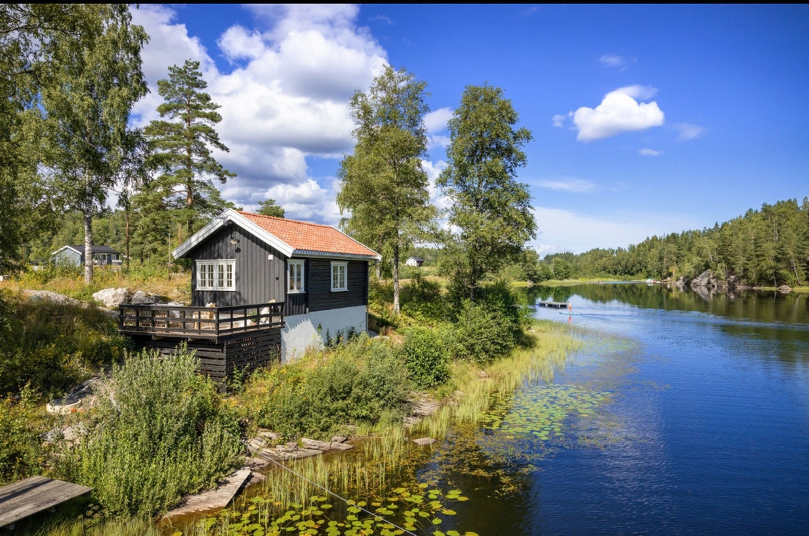 Vakre lyseren Galleribilde
