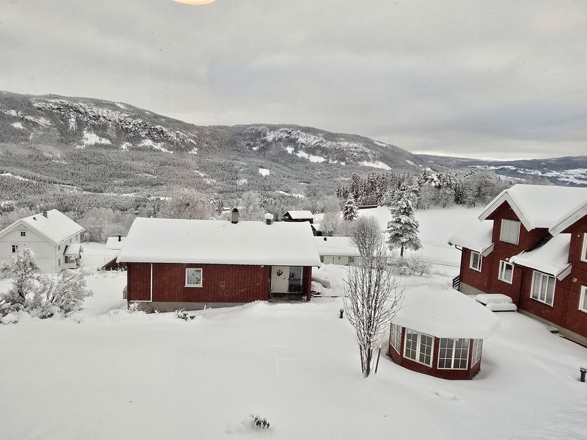 Utsikt fra stue Galleribilde