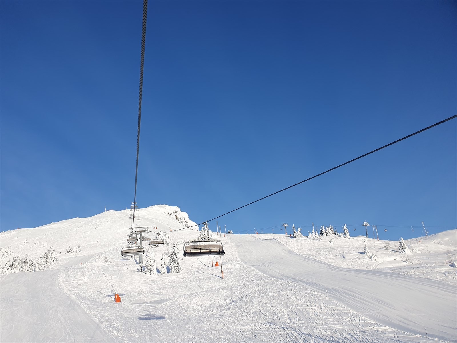 Privat foto. Galleribilde