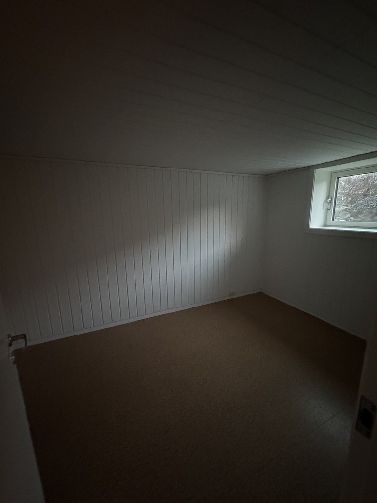 Rom kjeller 003 Galleribilde