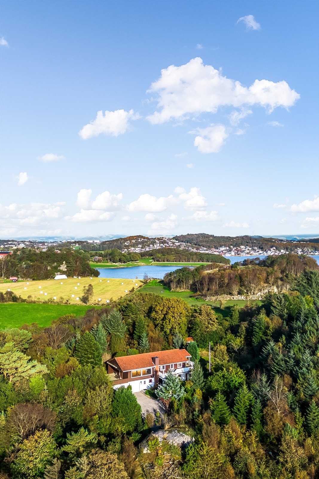 Område. Galleribilde