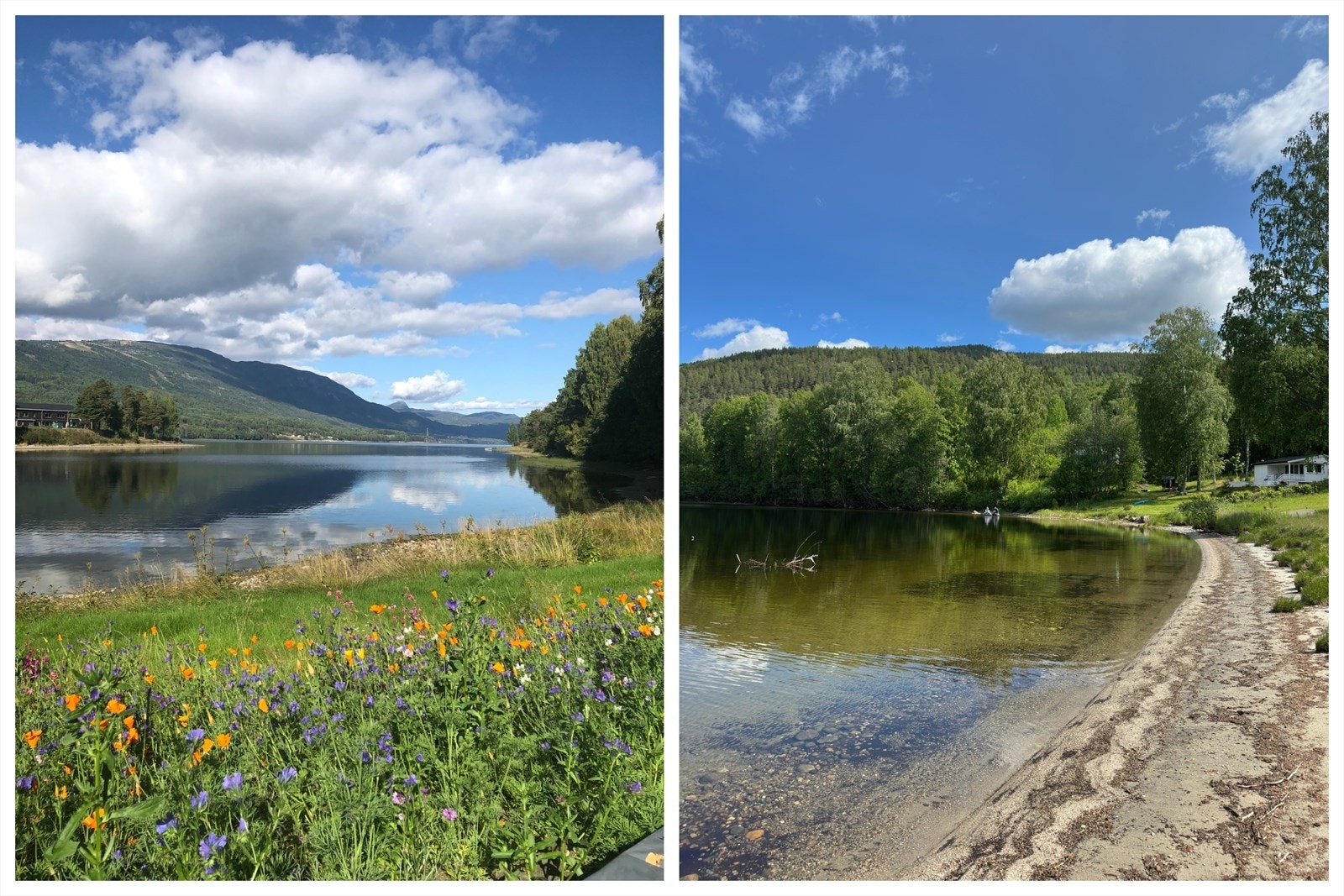 Selgers egne bilder. Galleribilde