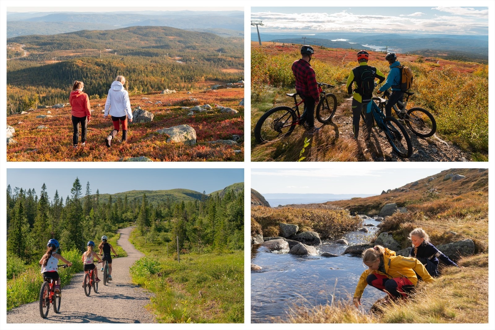 Norefjell tilbyr et bredt spekter av aktiviteter både sommer og vinter. Galleribilde