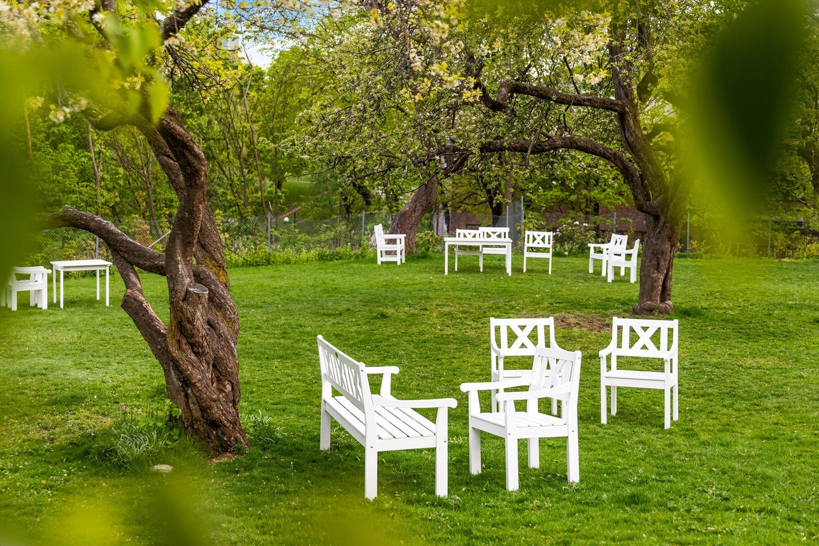 Sameiet har en flott felles inngjerdet hage med låst port, kun tilgjengelig for Schultzehaugen sine beboere Galleribilde