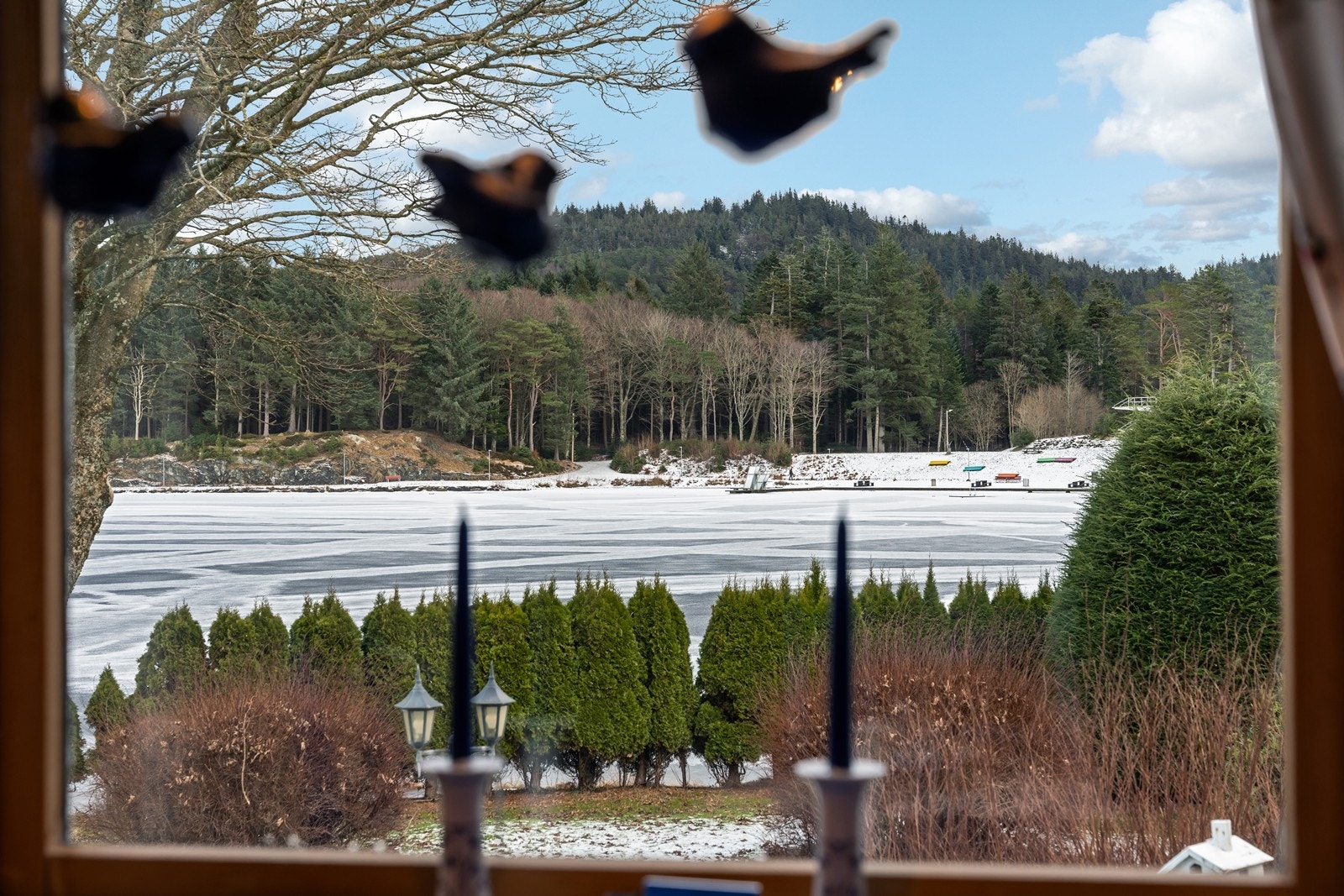 Nyt denne utsikten fra spiseplass fra kjøkkenet Galleribilde