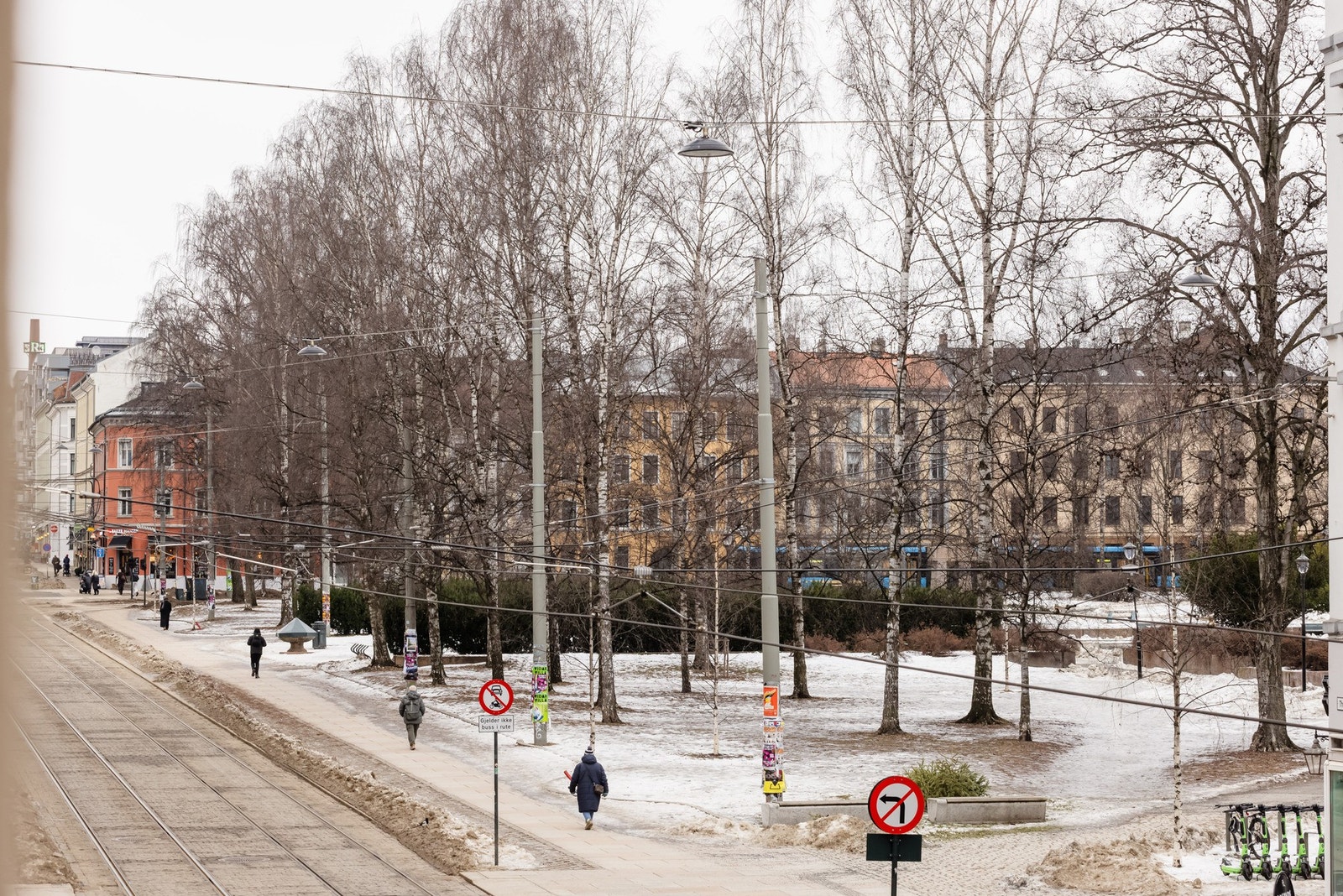 Utsyn mot Birkelunden fra stuen. Galleribilde