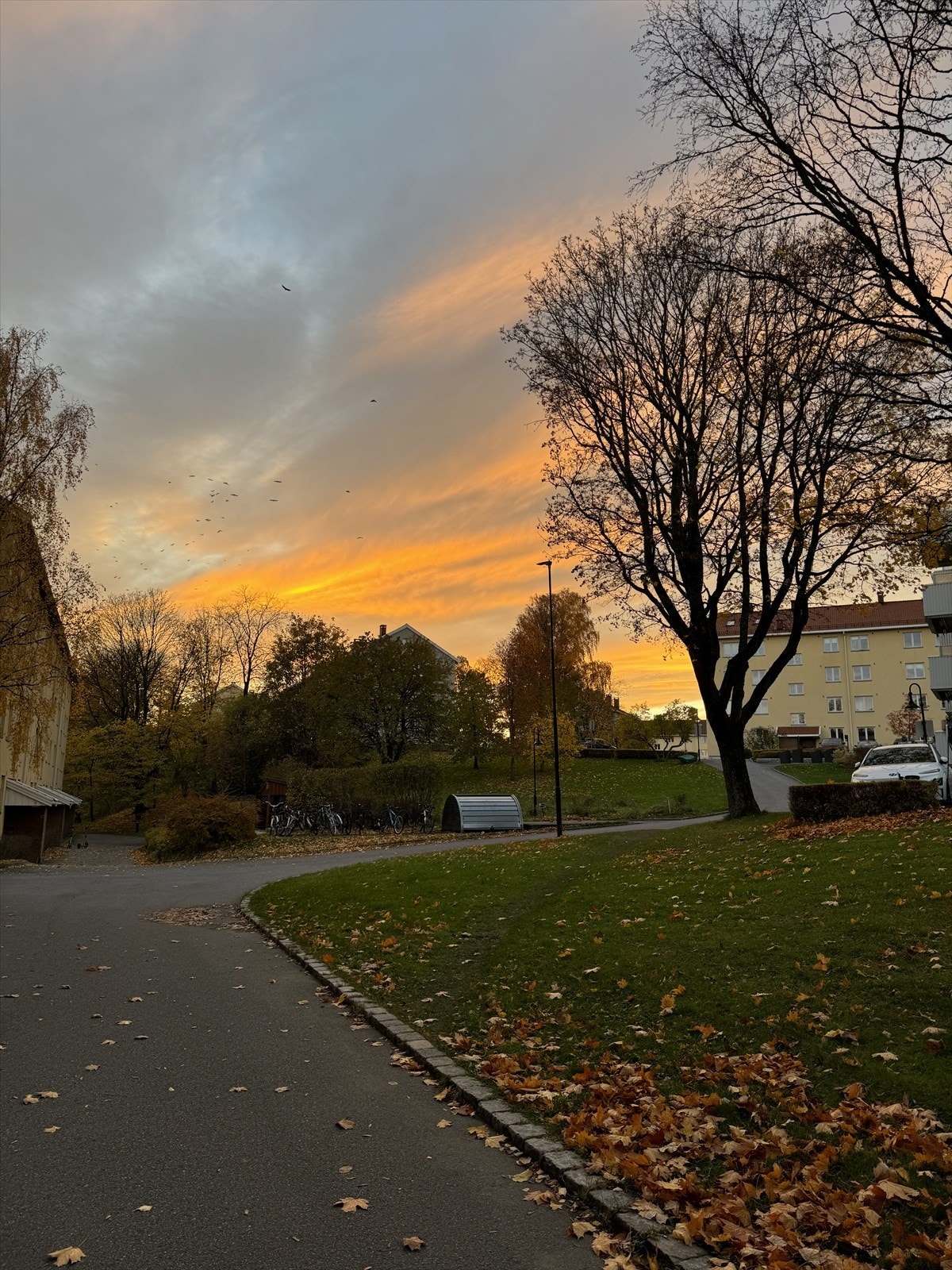Høststemning Galleribilde