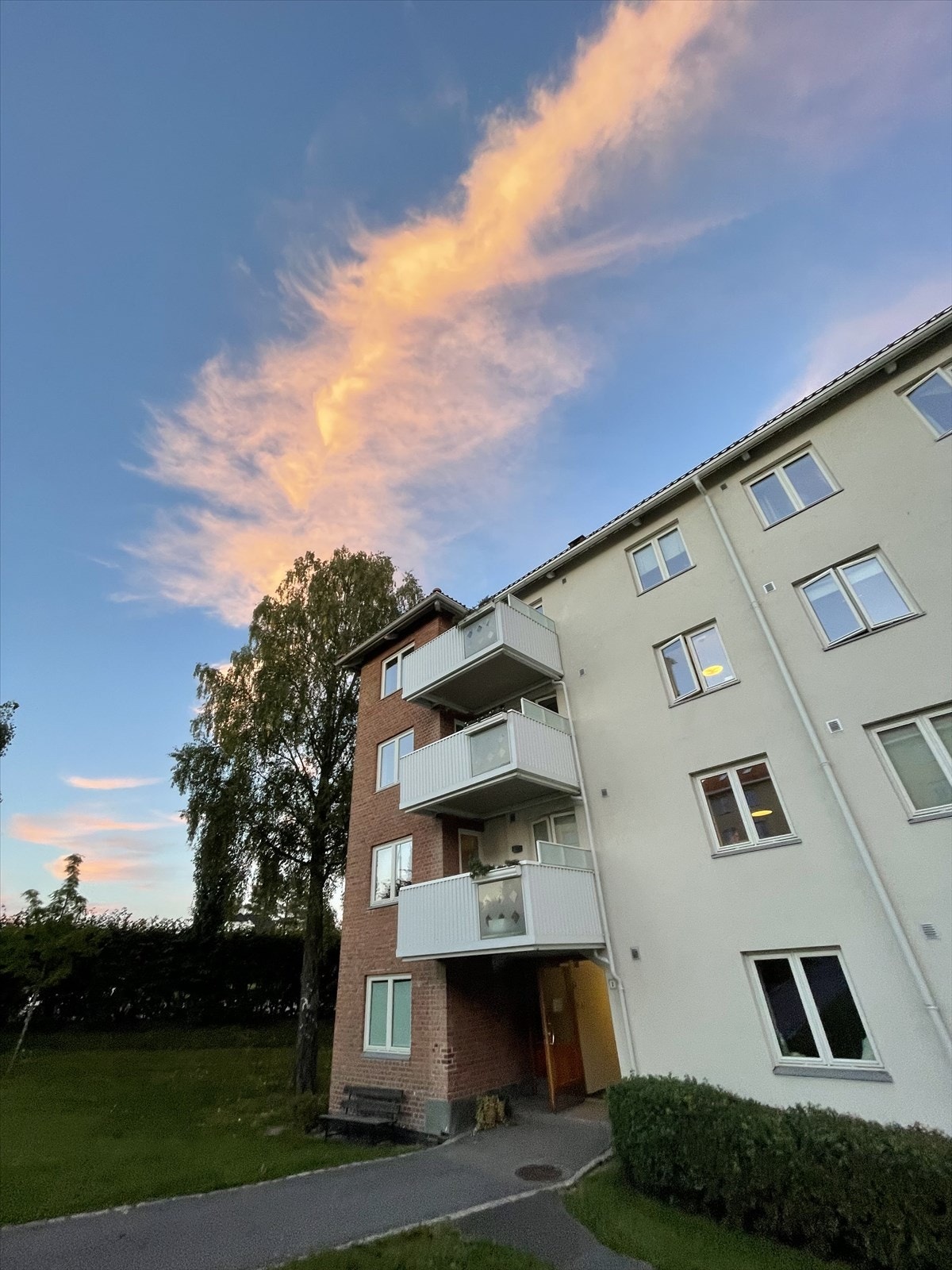 Selgeres bilde fra sommerstid Galleribilde