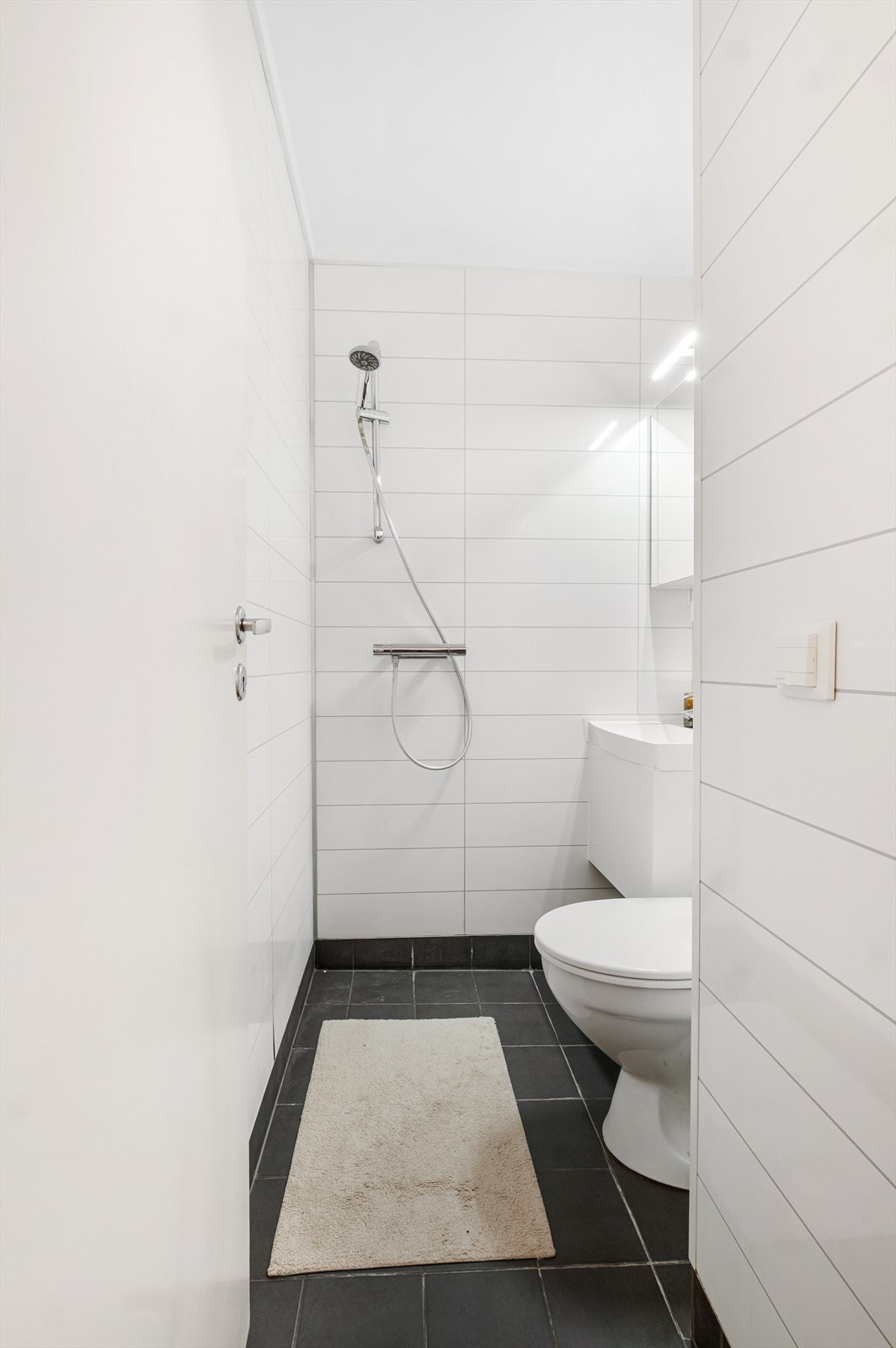 Innredet med servant, toalett og dusjhjørne Galleribilde