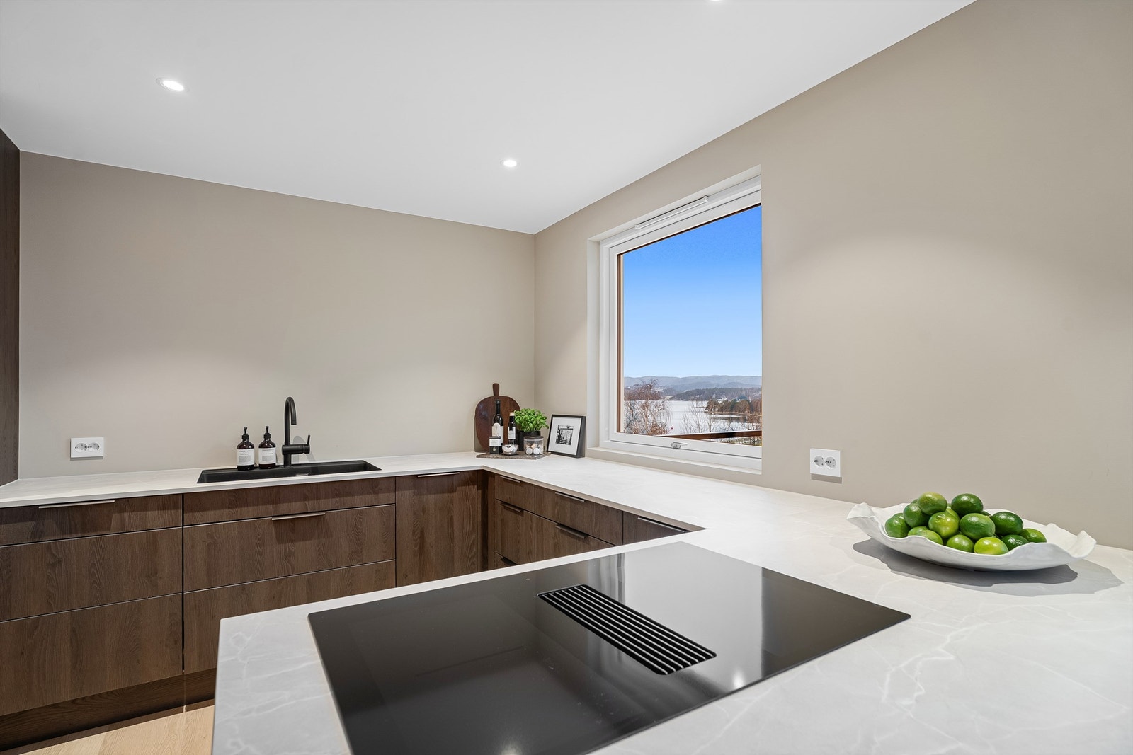 Platetopp med innebygd ventilator Galleribilde