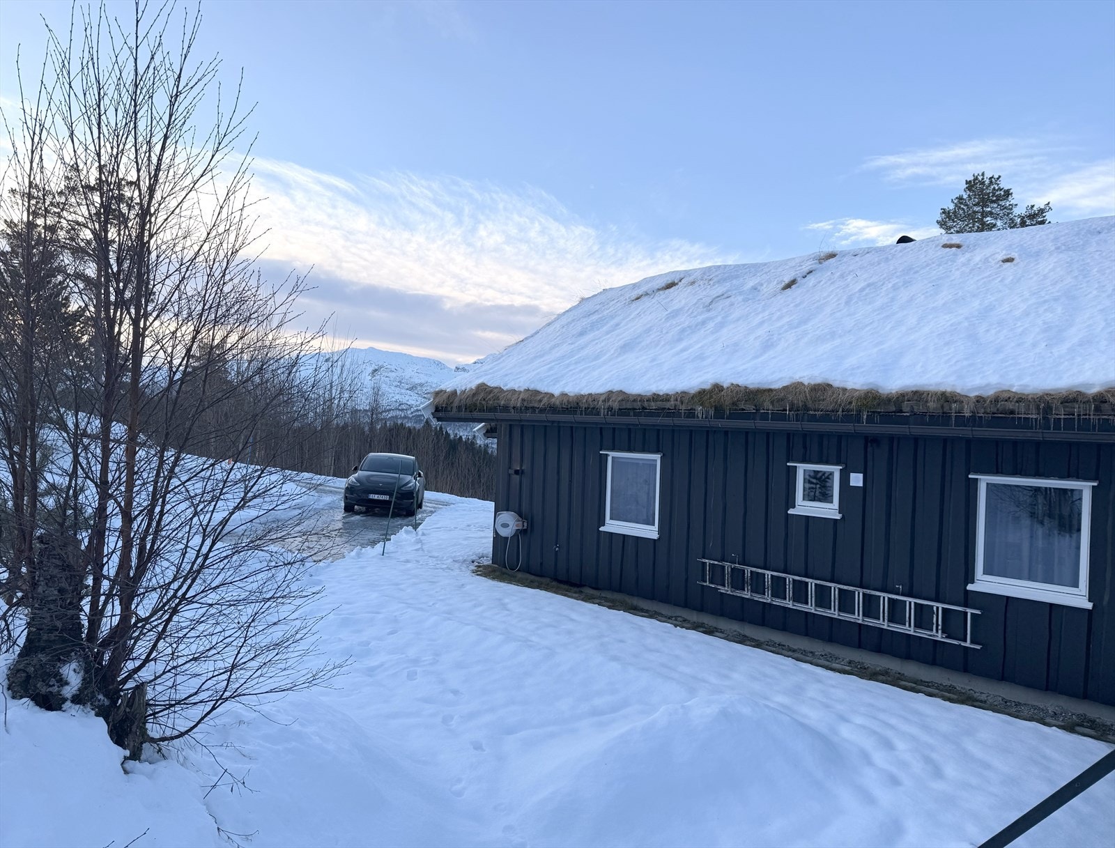 Vinterstemning Galleribilde