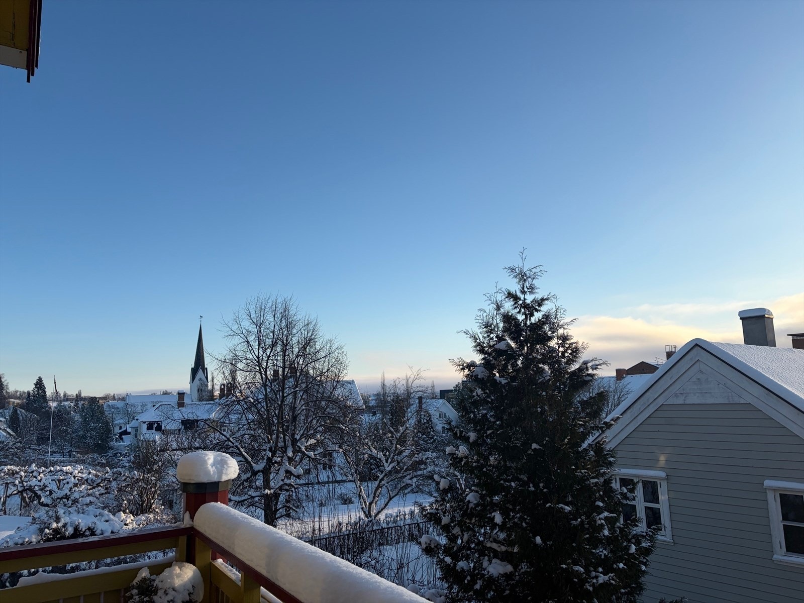 Selgers eget vinterbilde. Galleribilde