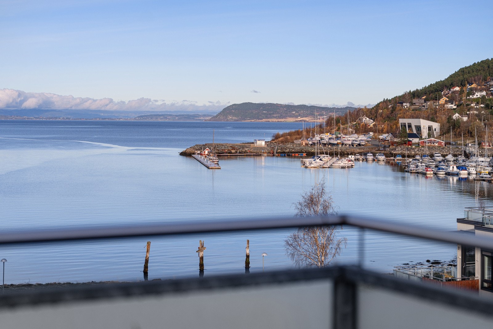 Idyllisk utsikt mot Trondheimsfjorden. Galleribilde