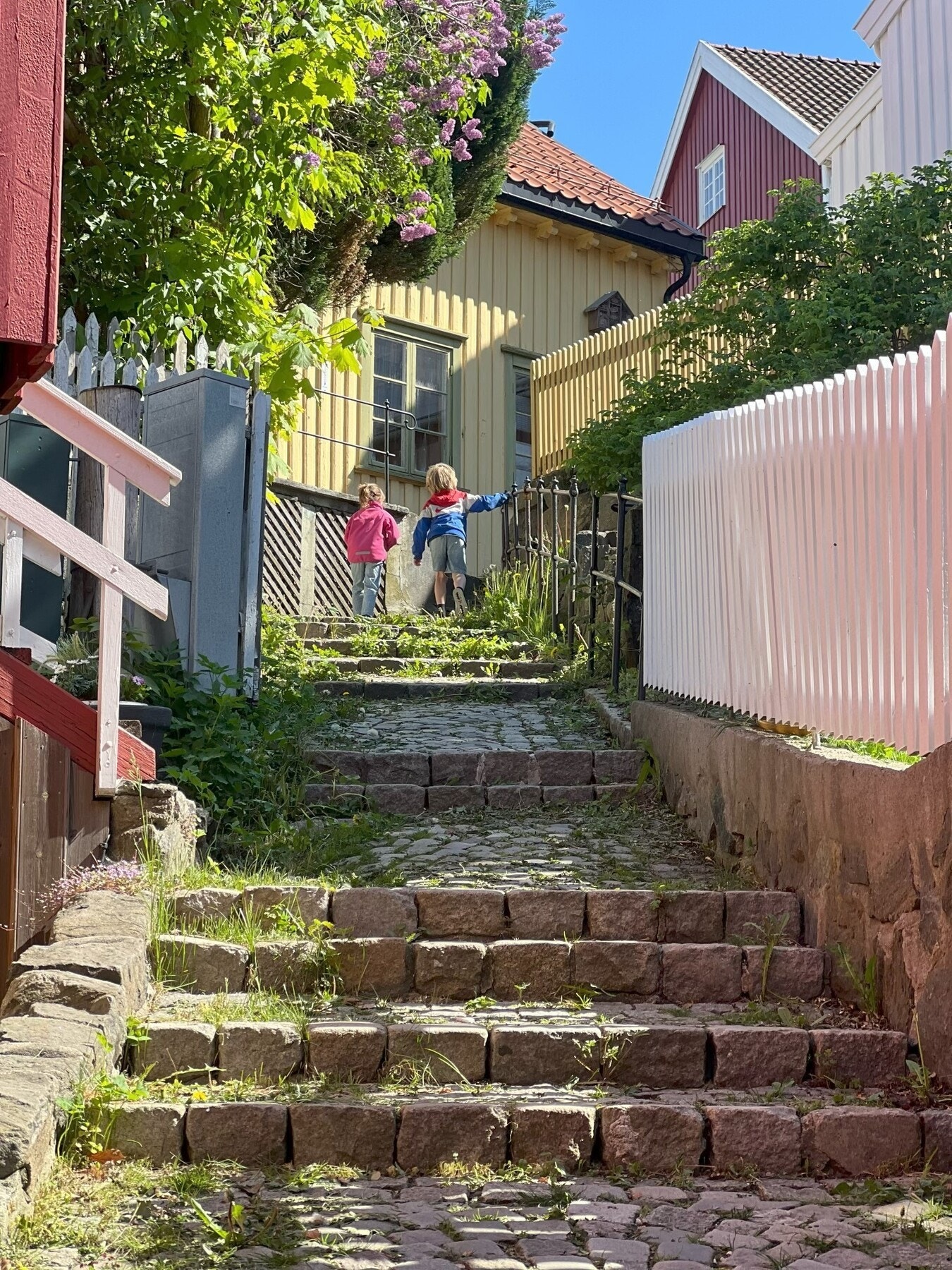 Hyggelig sti fra Kittelsbukt. Huset sees øverst til høyre Galleribilde