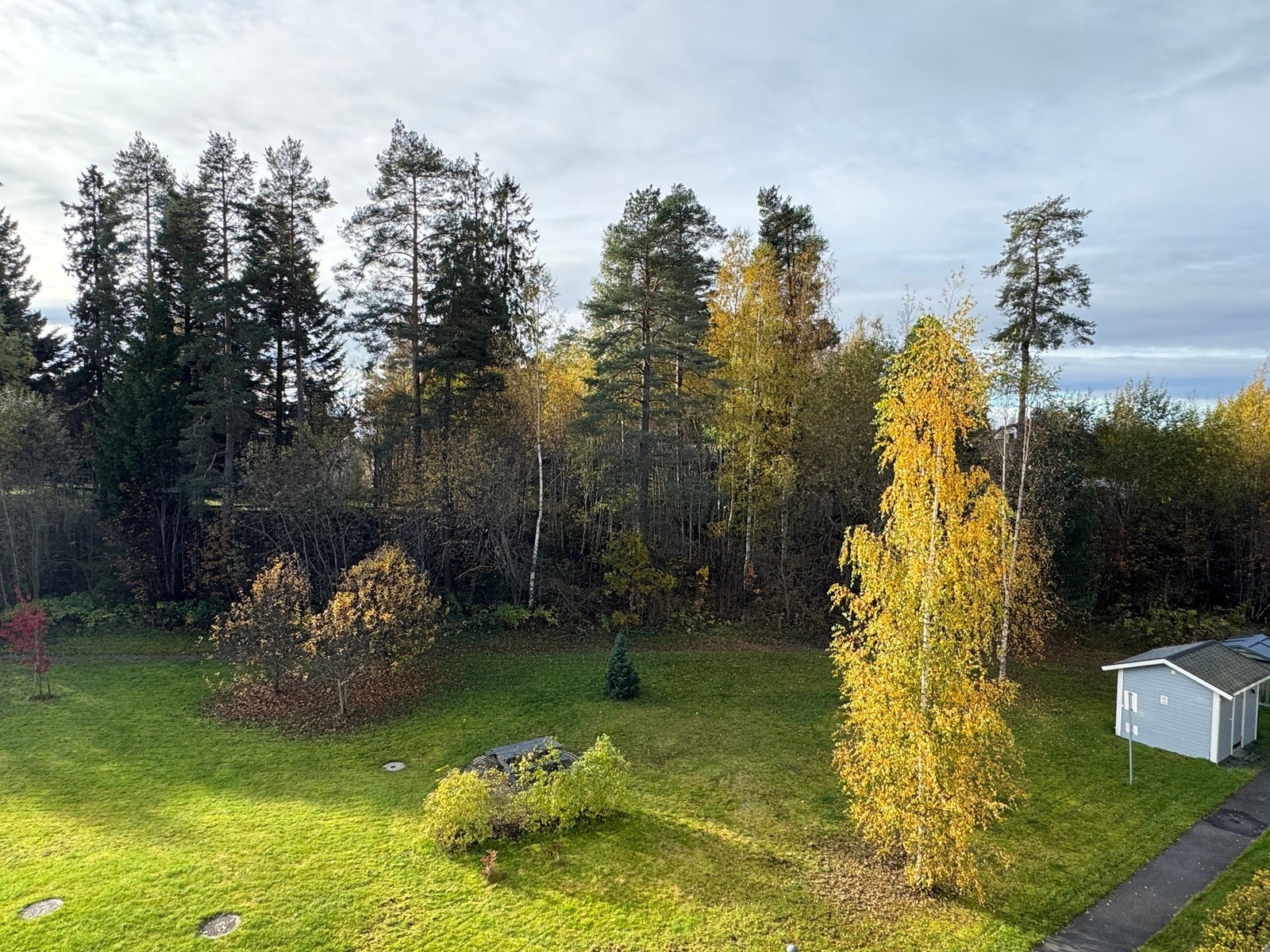 Selgers egne bilder. Galleribilde