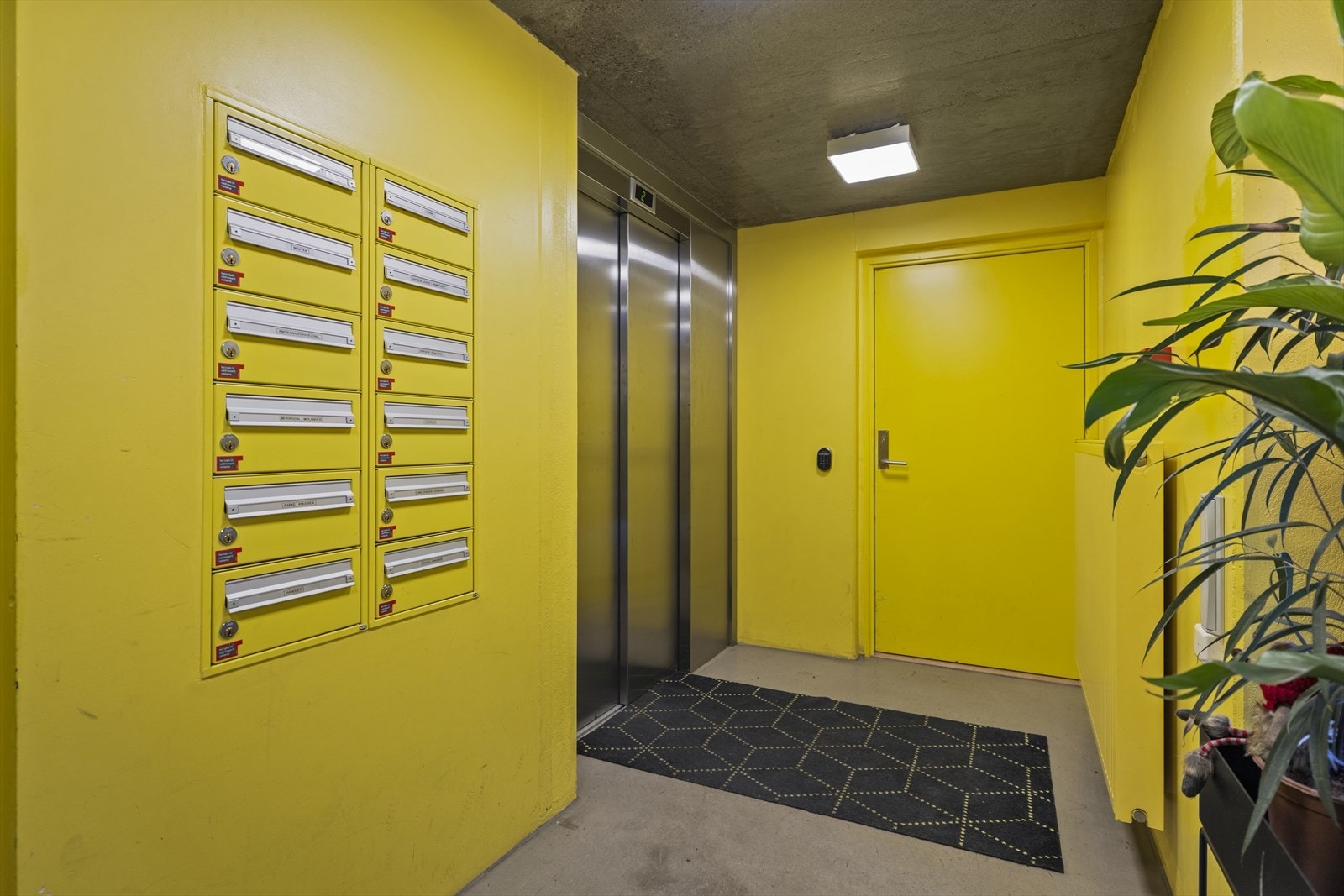 Gult er kult, og her kommer det virkelig til sin rett. Galleribilde