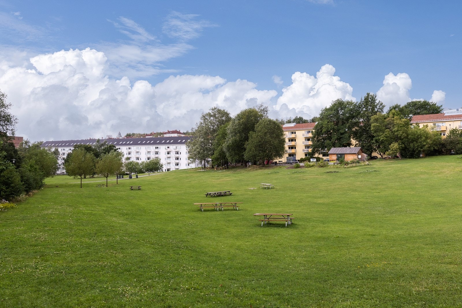 Et sosialt samlingspunkt i Ildalen. Galleribilde