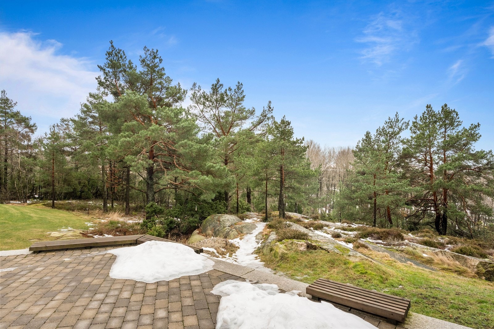 Utsikt mot skogsområde fra den sørvestvendte terrassen. Galleribilde