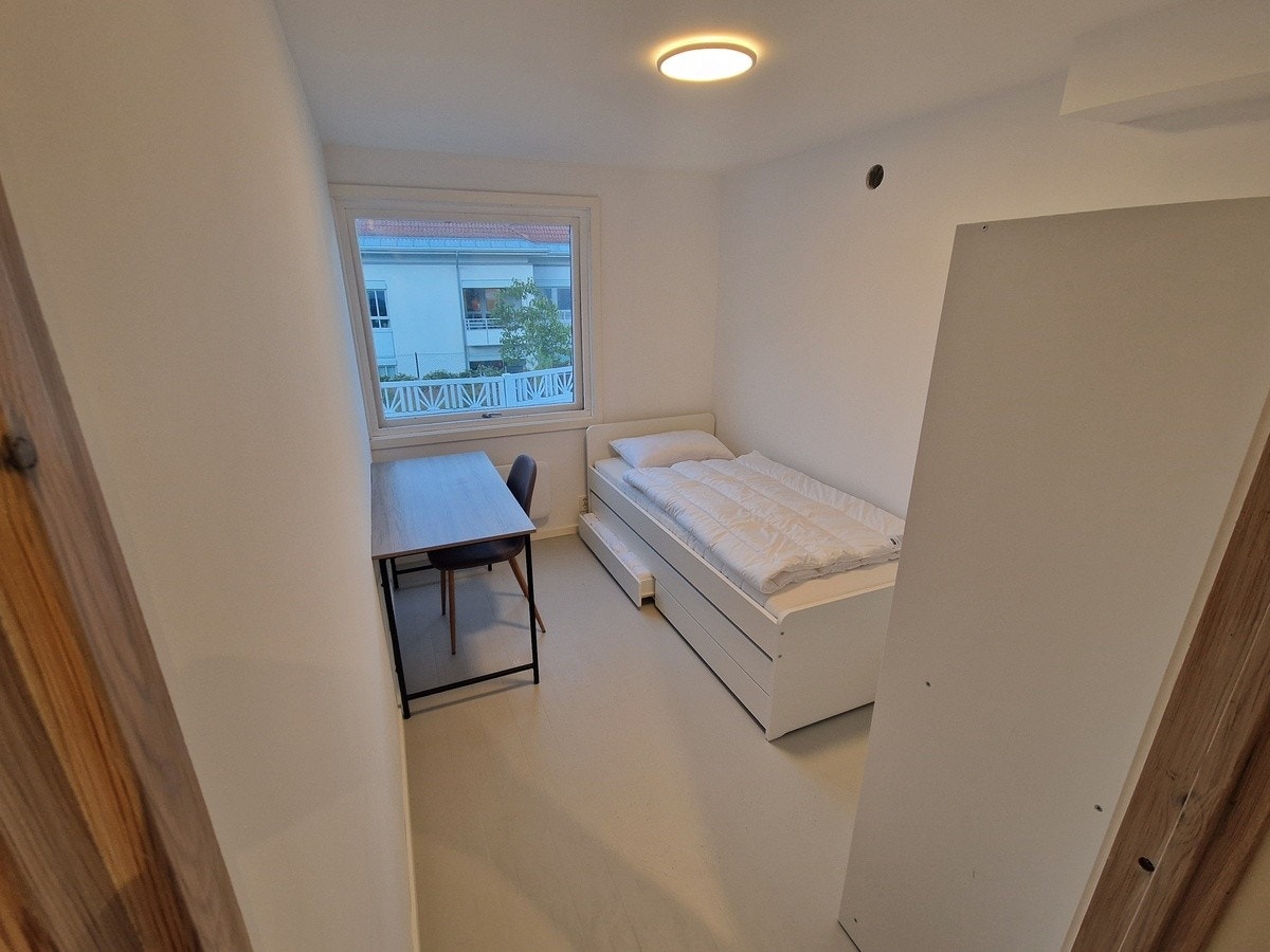 Nyoppussede rom Galleribilde