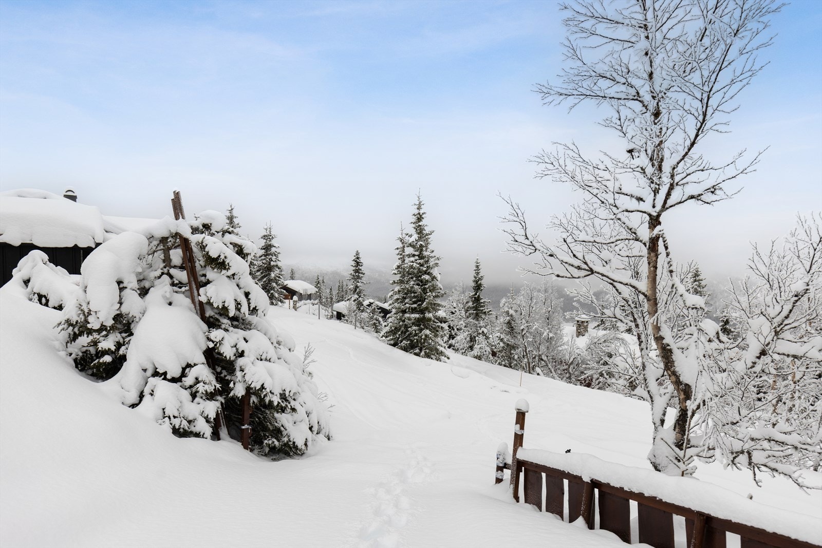 Umiddelbar nærhet til flott helårs turterreng og preparerte skiløyper. Galleribilde