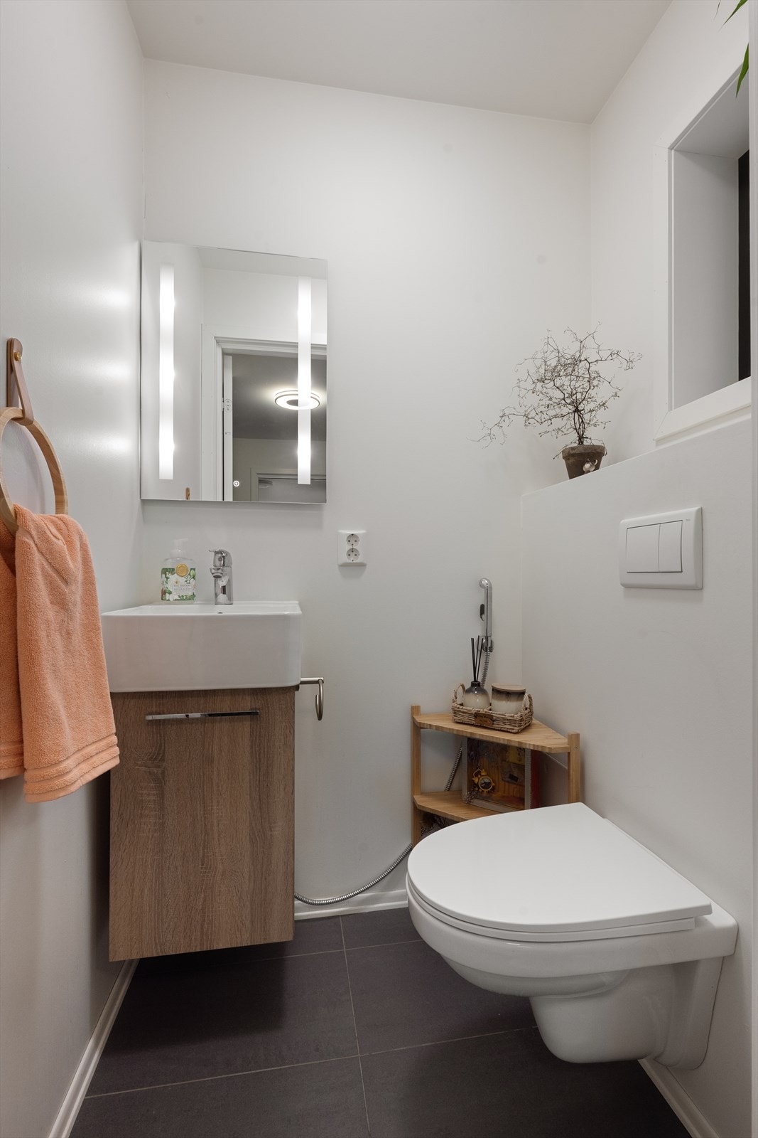 Gjestetoalett i entreen. Galleribilde