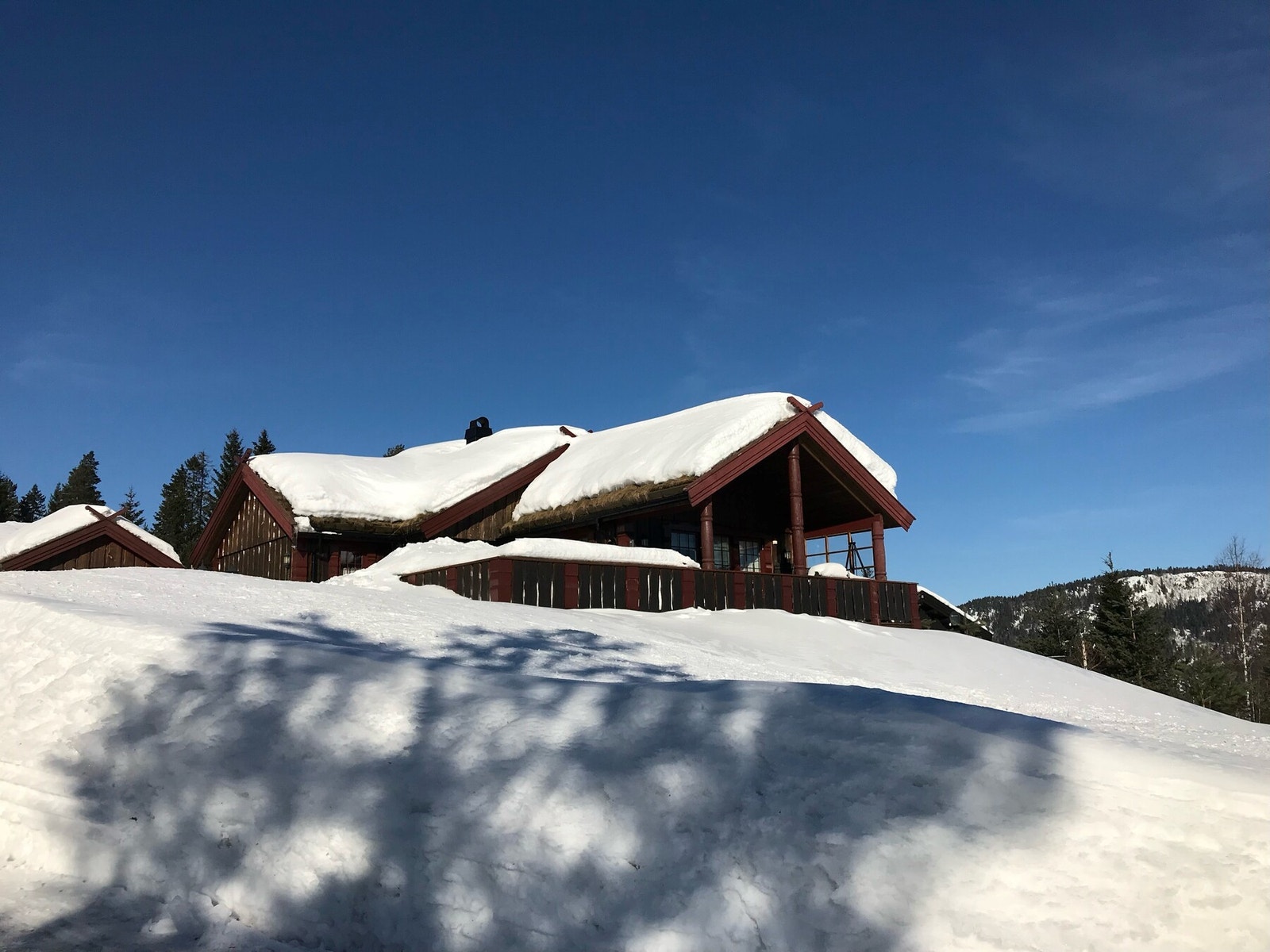 Selgers bilder vinterstid. Galleribilde