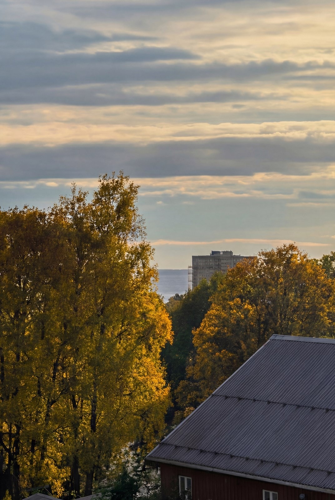 Til og med litt fjordutsikt ser man når bladene er borte fra trærne. Galleribilde