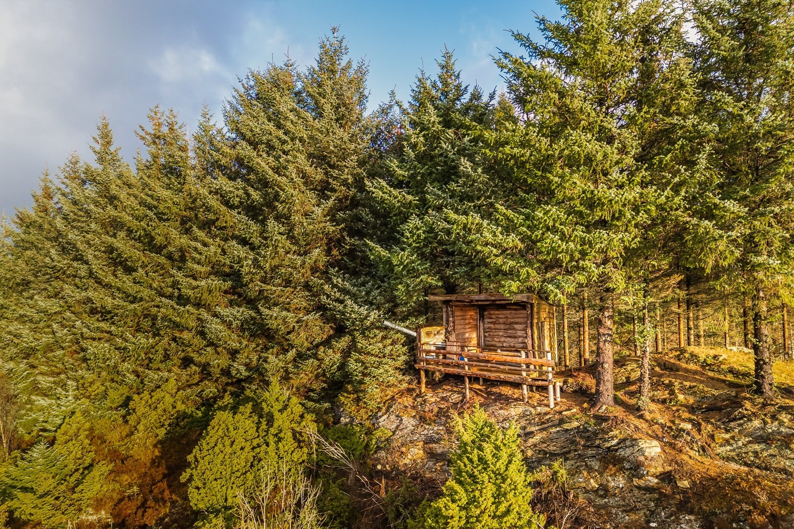 - Det er flotte turmuligheter i området som blant annet Dronningen og Tranetjørna - Galleribilde