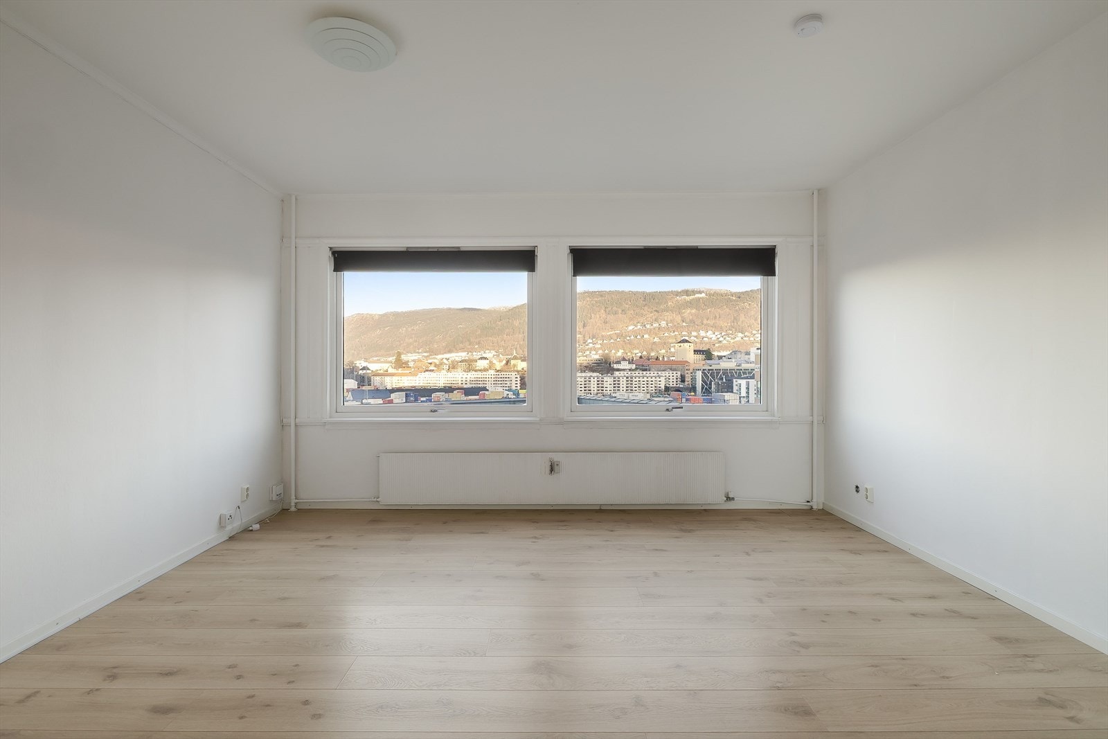 Vinduer i oppholdsrom Galleribilde